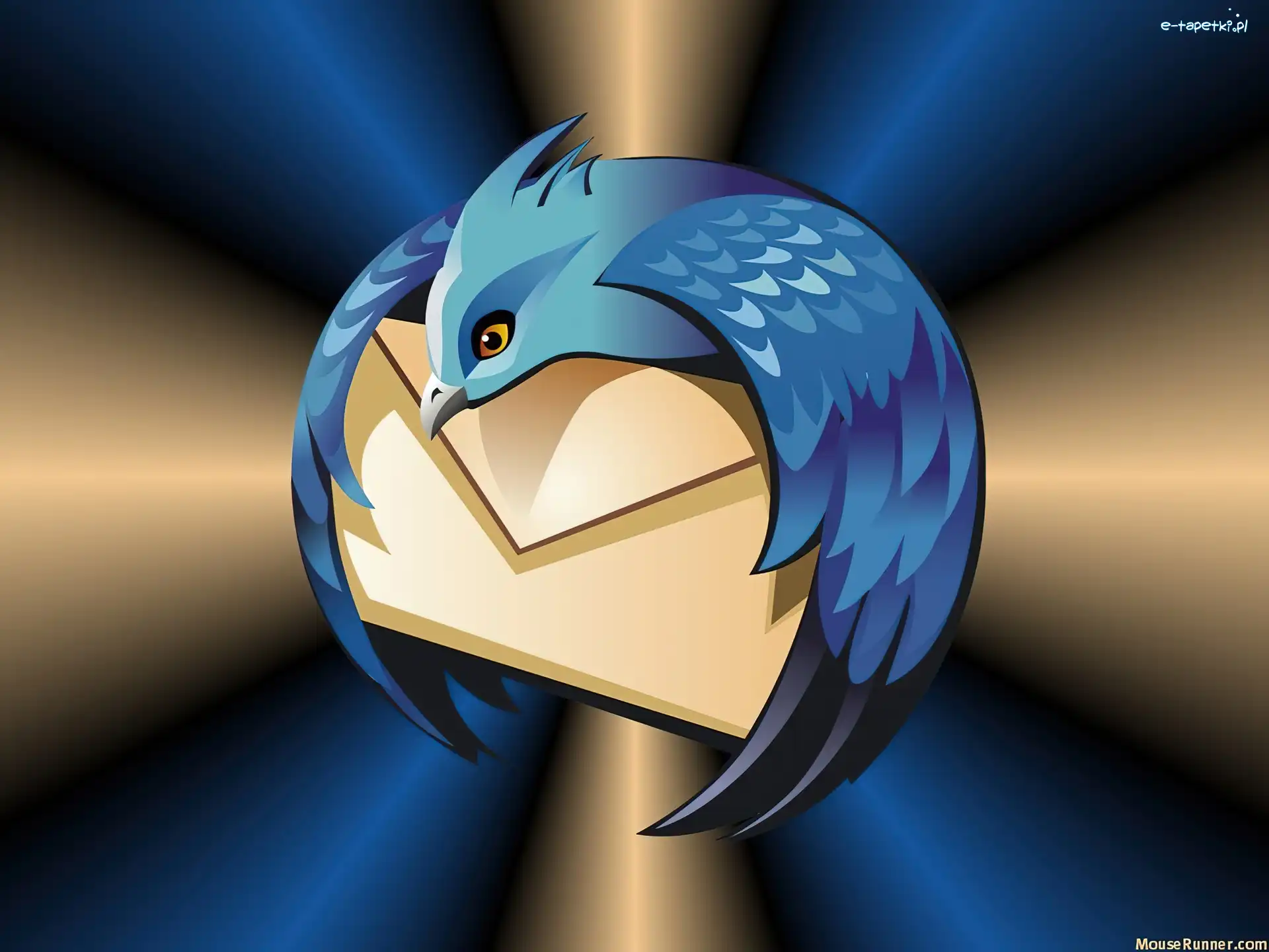 koperta, ptak, grafika, Thunderbird