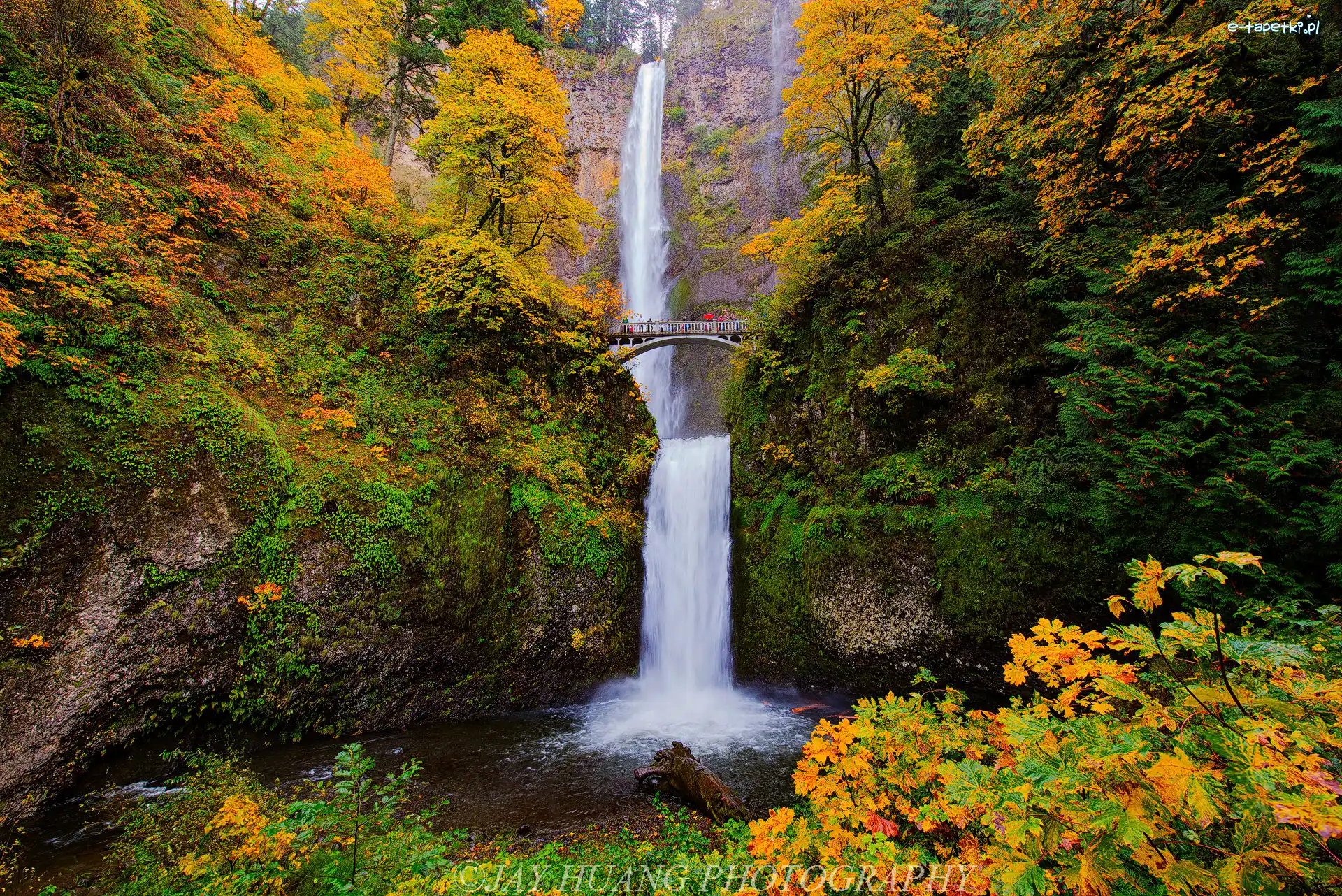 Roślinność, Drzewa, Most, Jesień, Wodospad Multnomah Falls, Stany Zjednoczone, Oregon, Skały, Hrabstwo Multnomah
