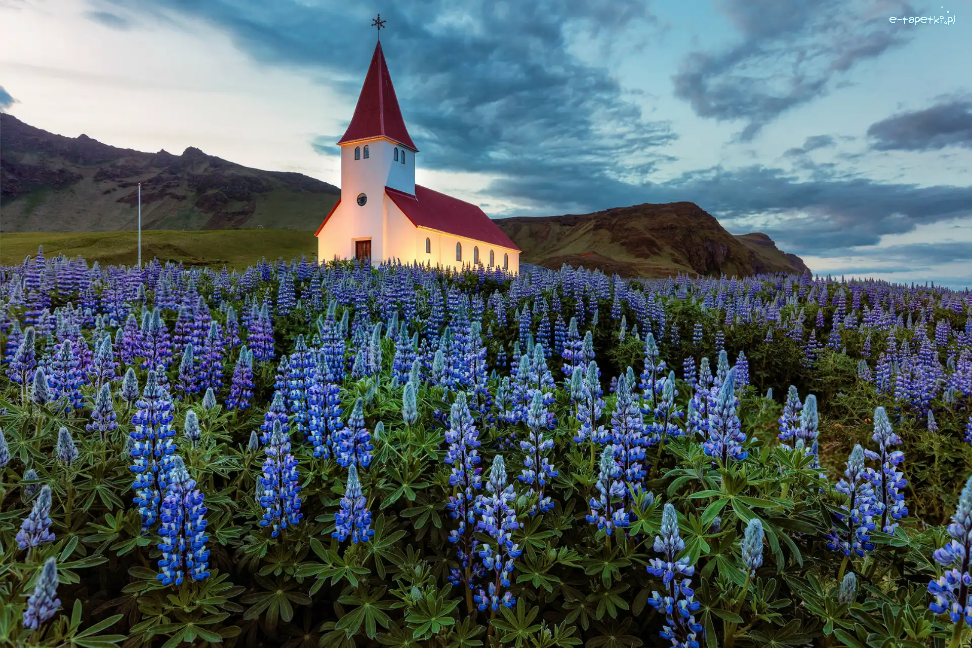 Islandia, Łubin, Góry, Łąka, Kościół, Gmina Myrdalshreppur, Miejscowość Vik i Myrdal
