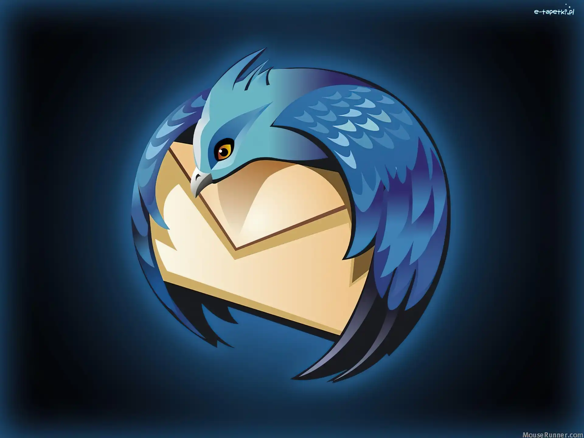 koperta, ptak, grafika, Thunderbird