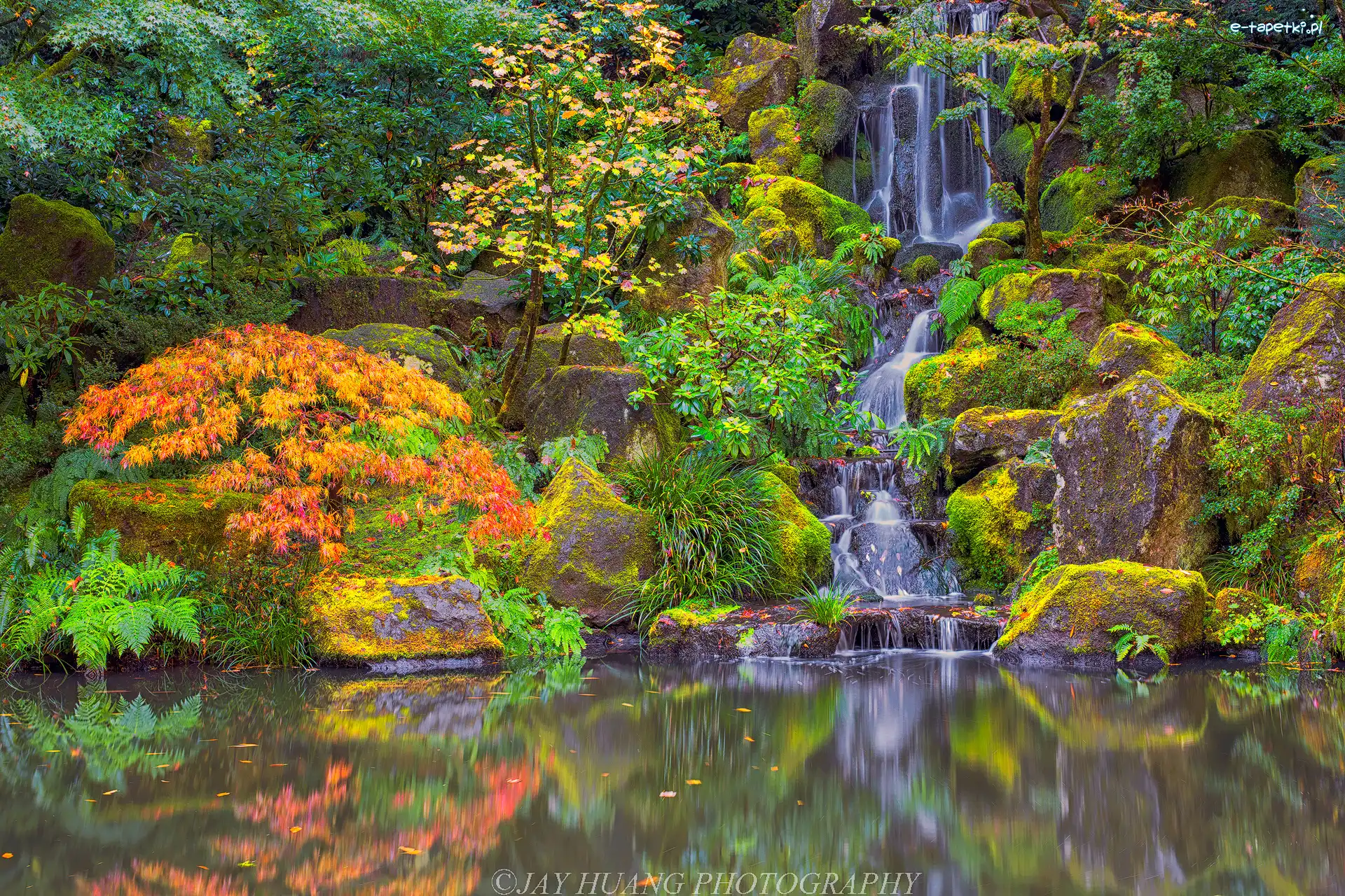 Portland, Drzewa, Stany Zjednoczone, Portland Japanese Garden, Roślinność, Wodospad, Skały, Ogród japoński, Krzewy, Oregon