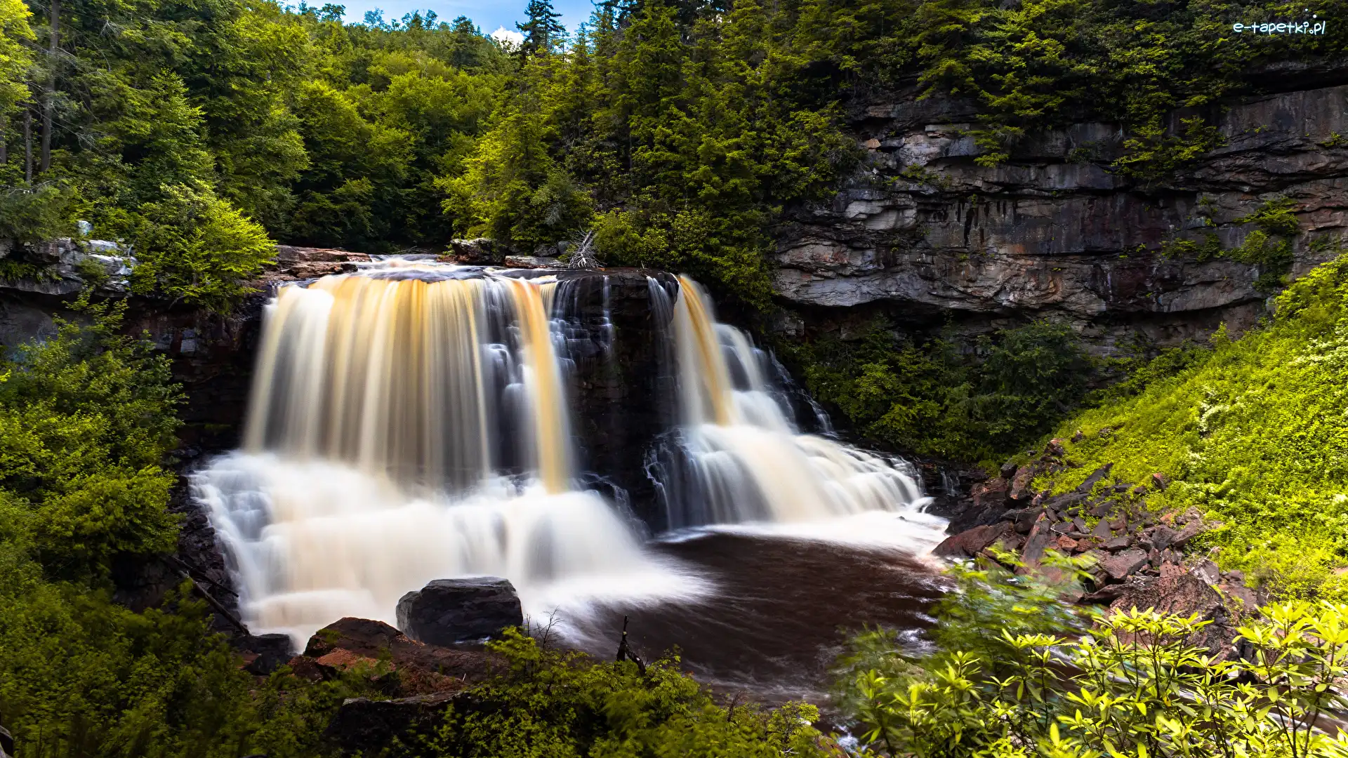 Skały, Las, Stany Zjednoczone, Wirginia Zachodnia, Drzewa, Rośliny, Park stanowy Blackwater Falls, Wodospad Blackwater