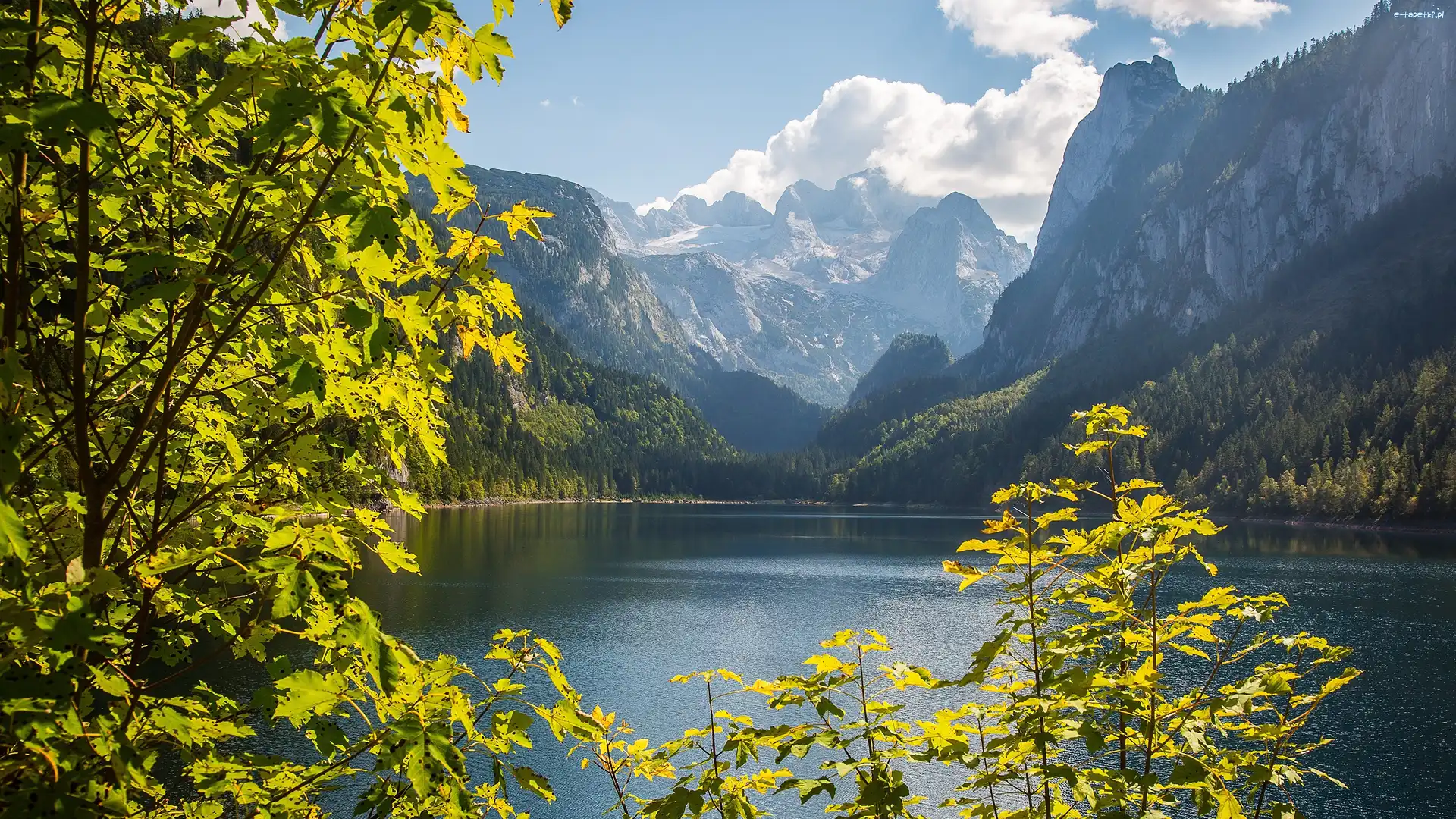 Austria, Alpy Salzburskie, Lasy, Góry, Jezioro Gosauseen, Powiat Gmunden, Drzewa