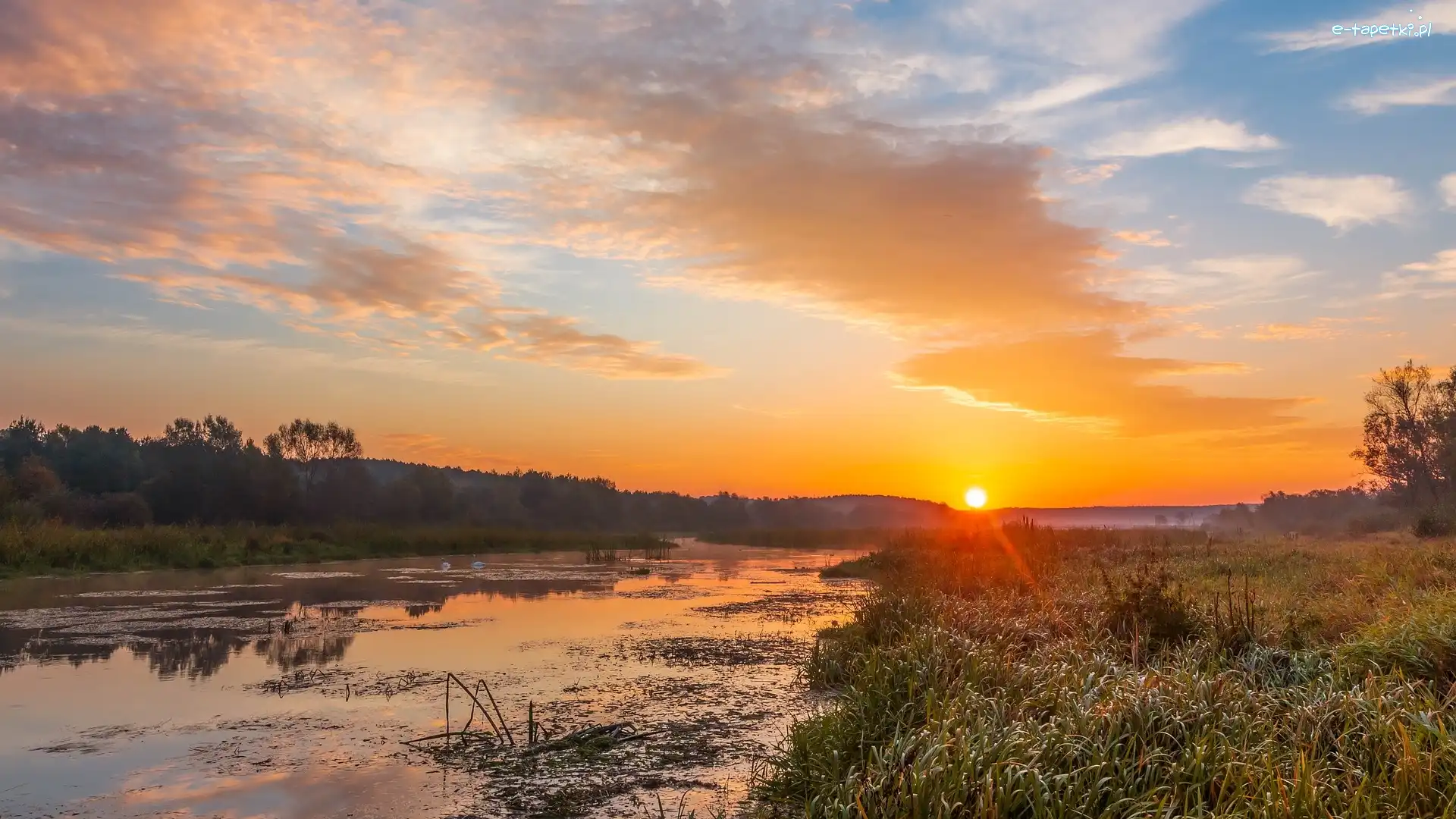 Rzeka, Trawy, Drzewa, Wschód słońca