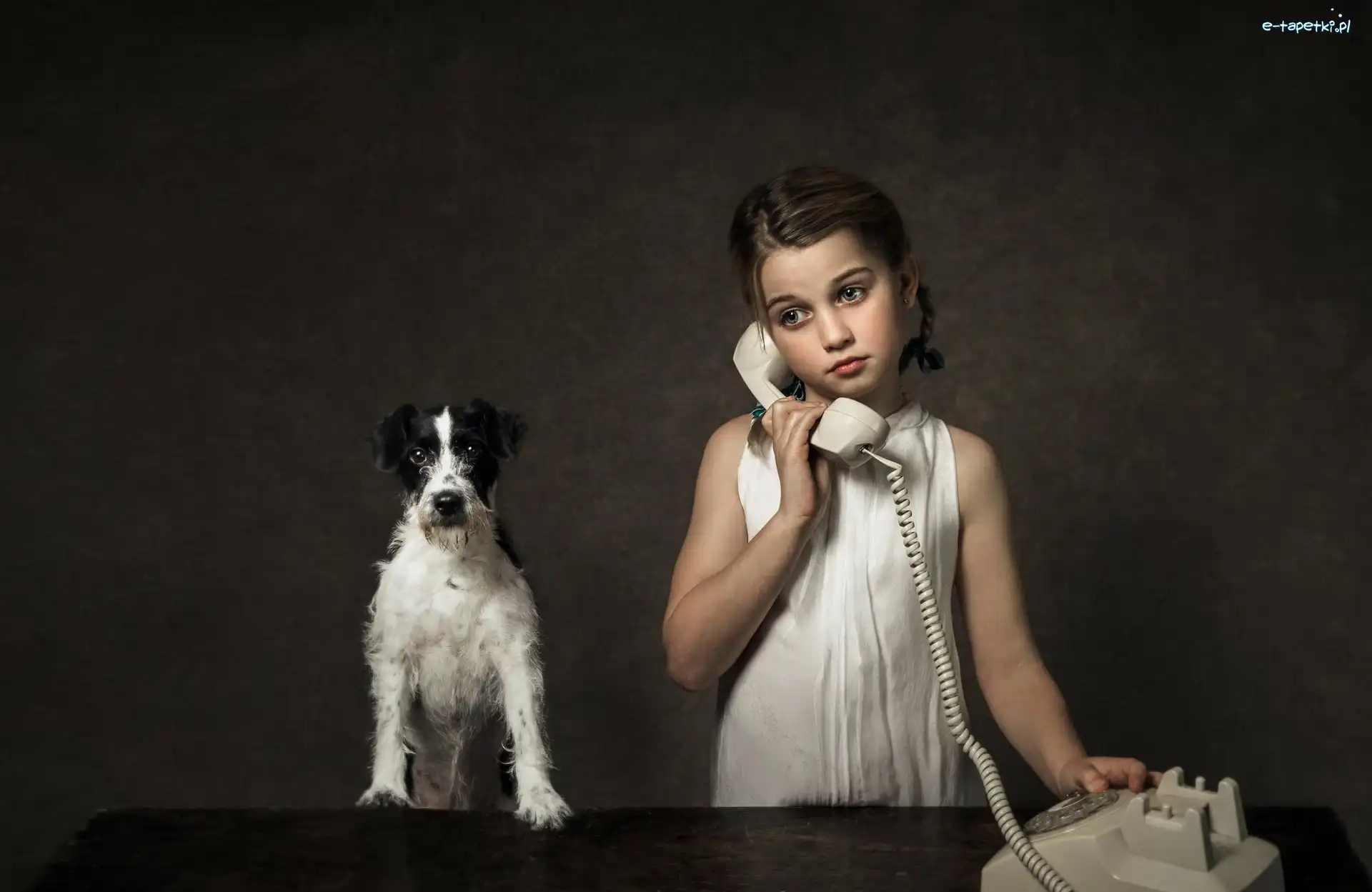 Telefon, Parson Russell terrier, Pies, Dziewczynka