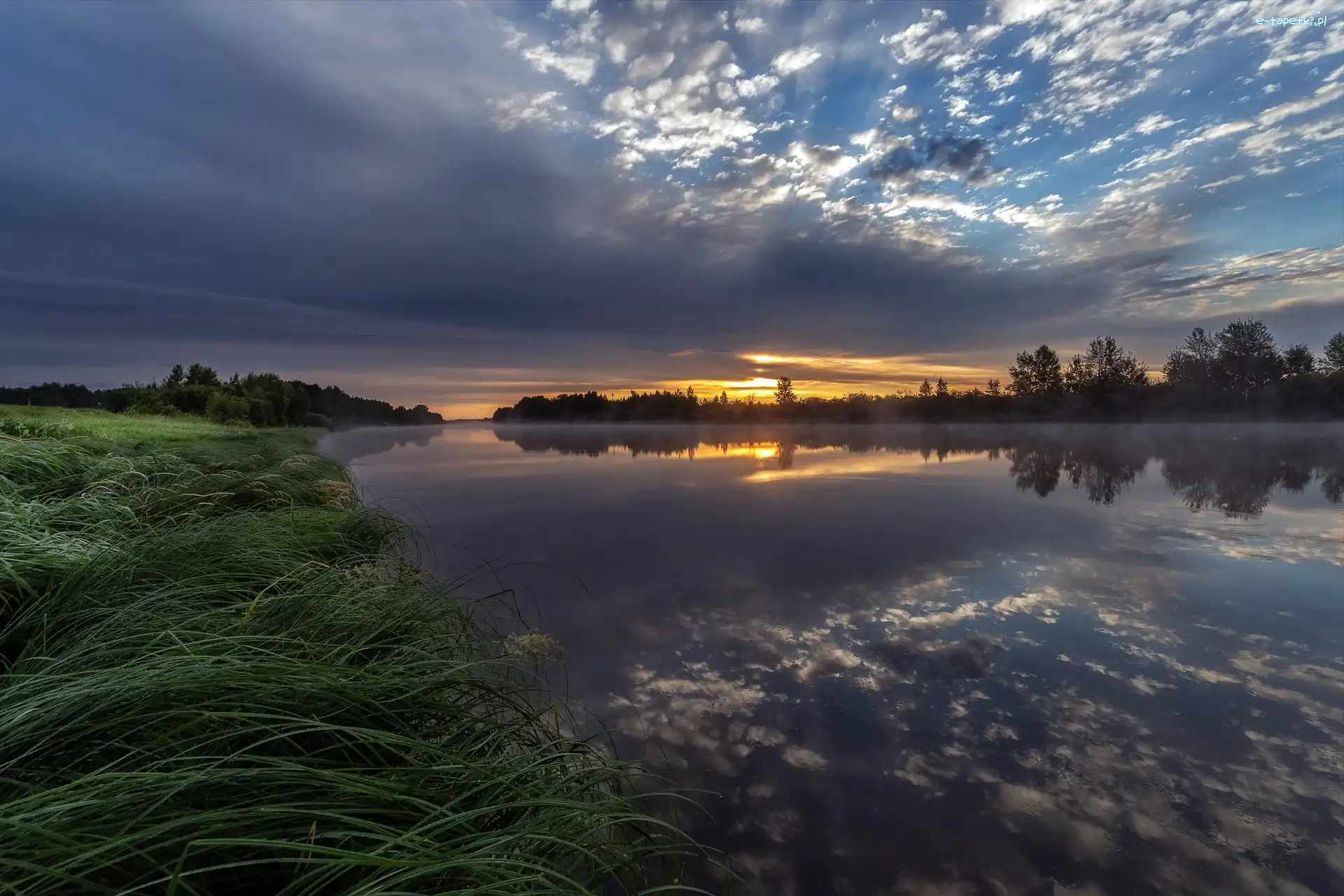 Rzeka, Pochmurny, Trawy, Wschód słońca, Poranek