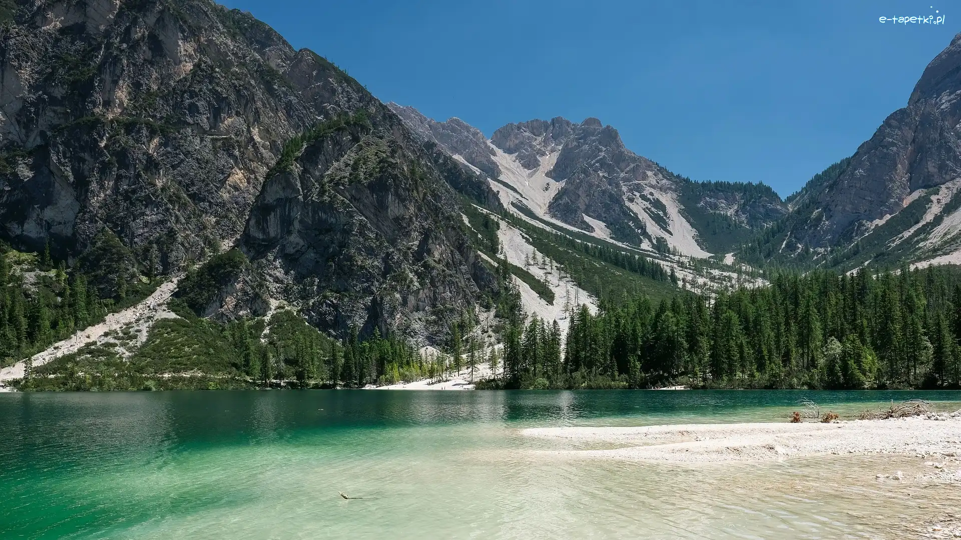 Włochy, Drzewa, Jezioro Pragser Wildsee, Dolomity, Góry, Dolina Val Pusteria, Lago di Braies