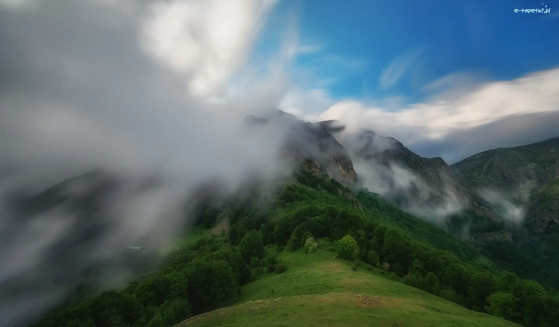 Mgła, Las, Drzewa, Góry