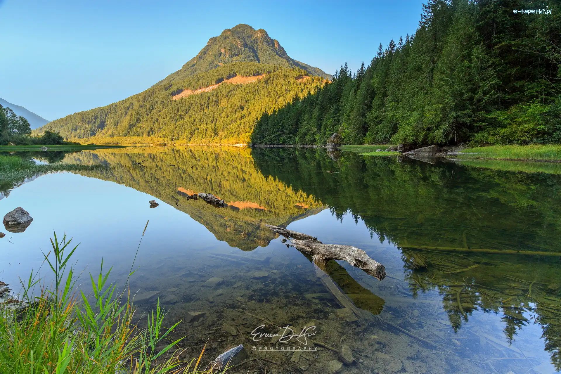 Lasy, Góra, Kanada, Prowincja Ontario, Drzewa, Park prowincjonalny Silver Lake, Maberly, Jezioro Silver