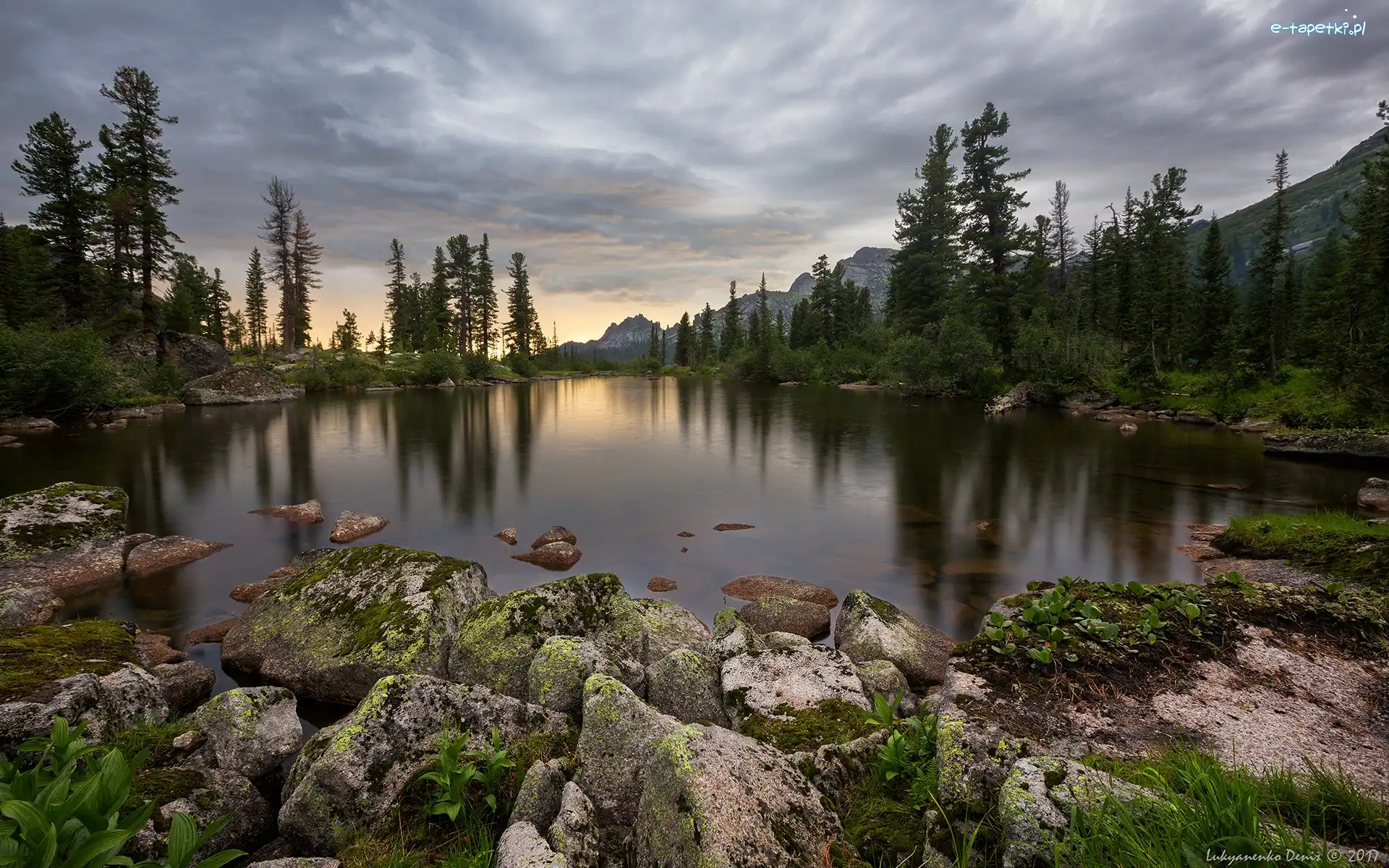 Świerki, Góry, Rosja, Syberia, Drzewa, Kamienie, Park przyrody Ergaki, Jezioro Lazurnoye