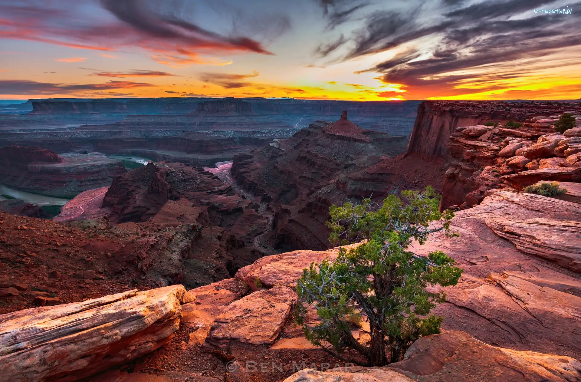 Drzewo, Rzeka Kolorado, Stany Zjednoczone, Stan Utah, Skały, Zachód słońca, Park stanowy Dead Horse Point, Kanion