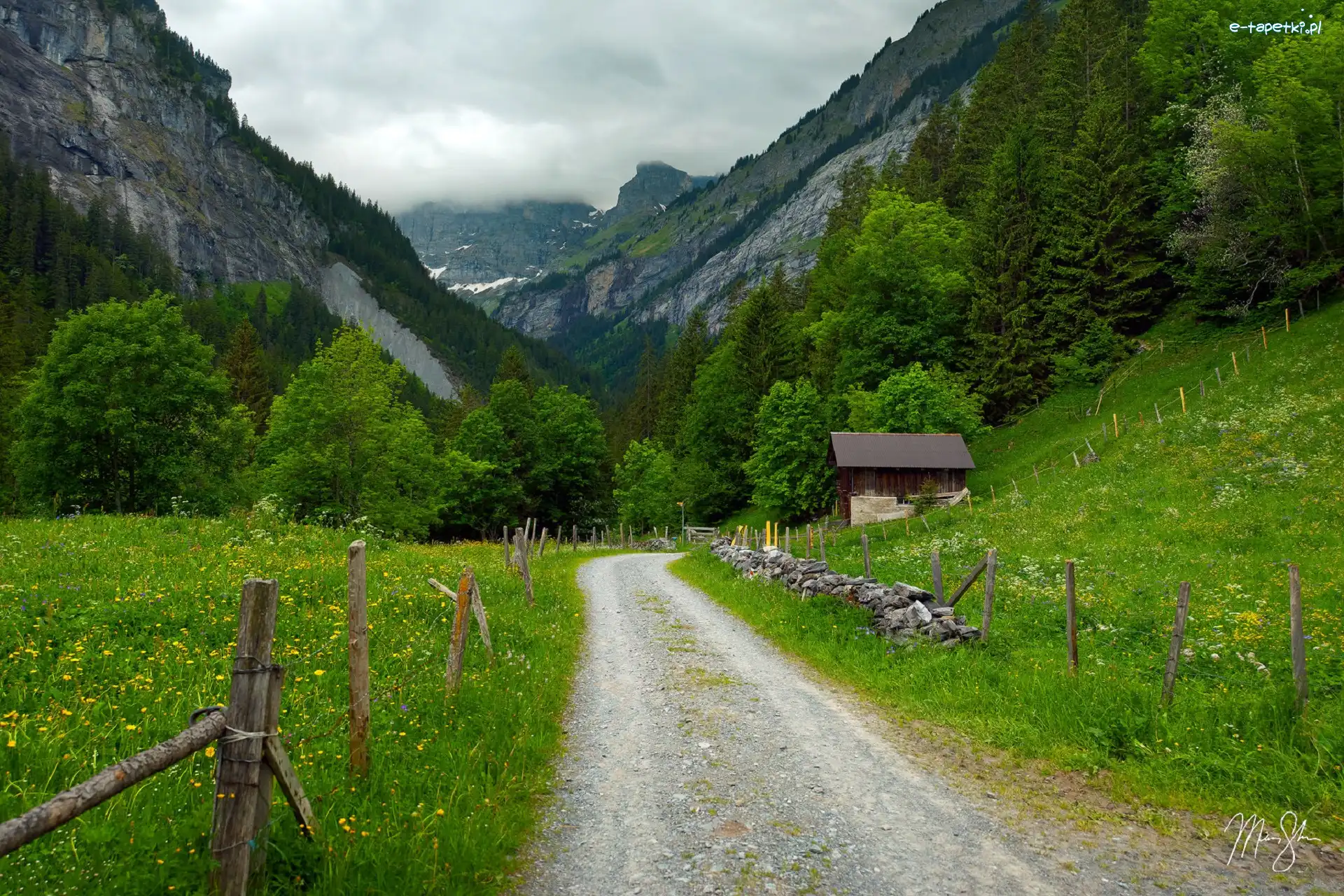 Drzewa, Domek, Mgła, Alpy Berneńskie, Góry, Szwajcaria, Gimmelwald, Droga, Ogrodzenie