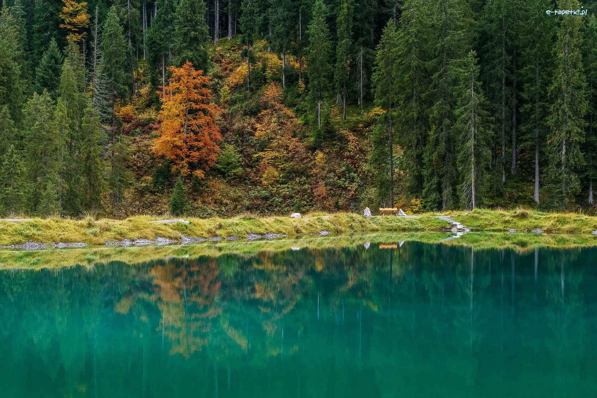 Jezioro Herzsee, Las, Drzewa, Austria, Gmina Aldrans