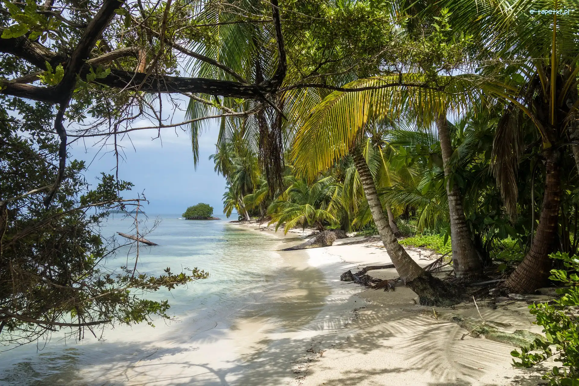 Panama, Morze Karaibskie, Plaża, Palmy, Plaża