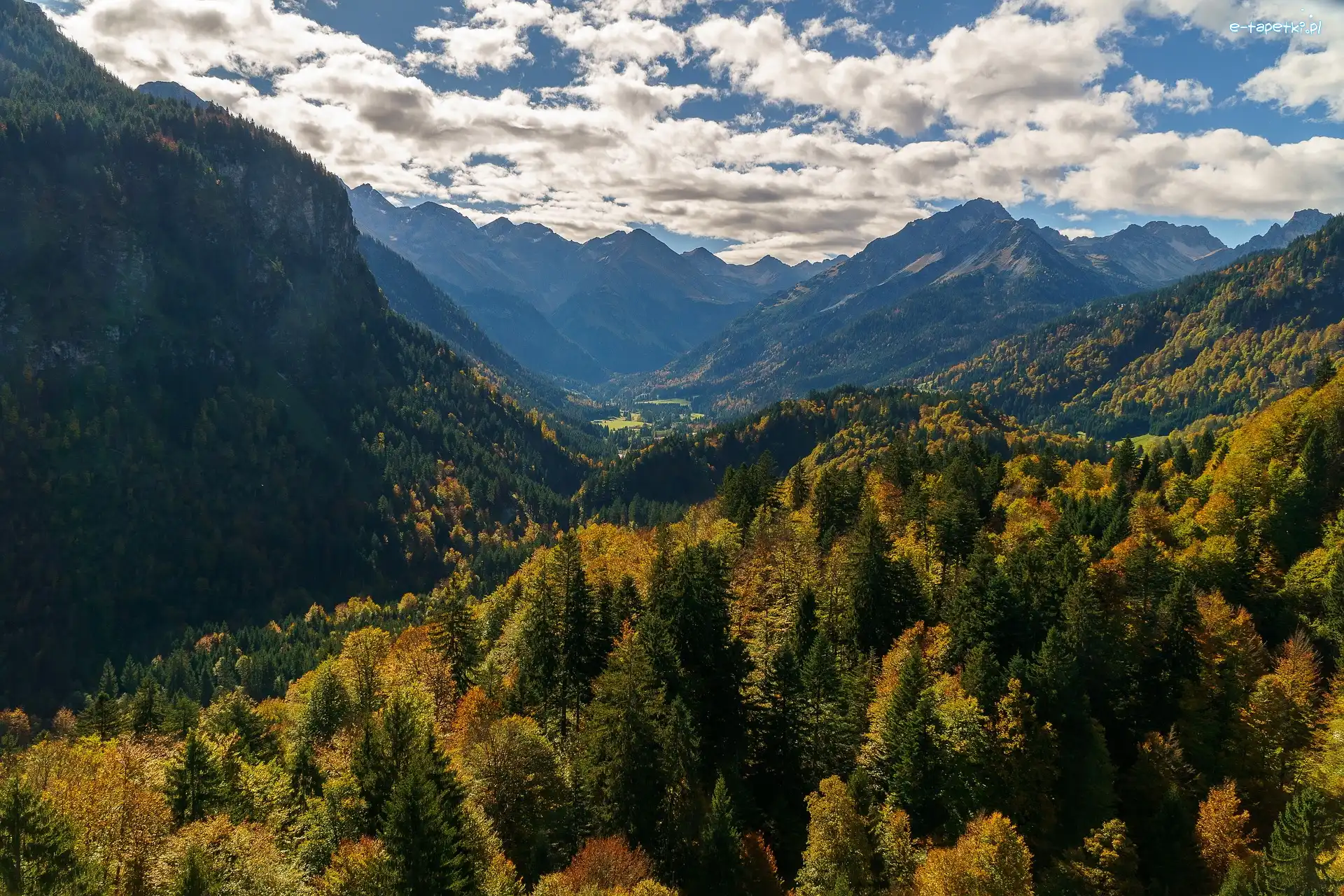 Lasy, Góry, Niemcy, Bawaria, Alpy Algawskie, Drzewa, Dolina, Oberstdorf