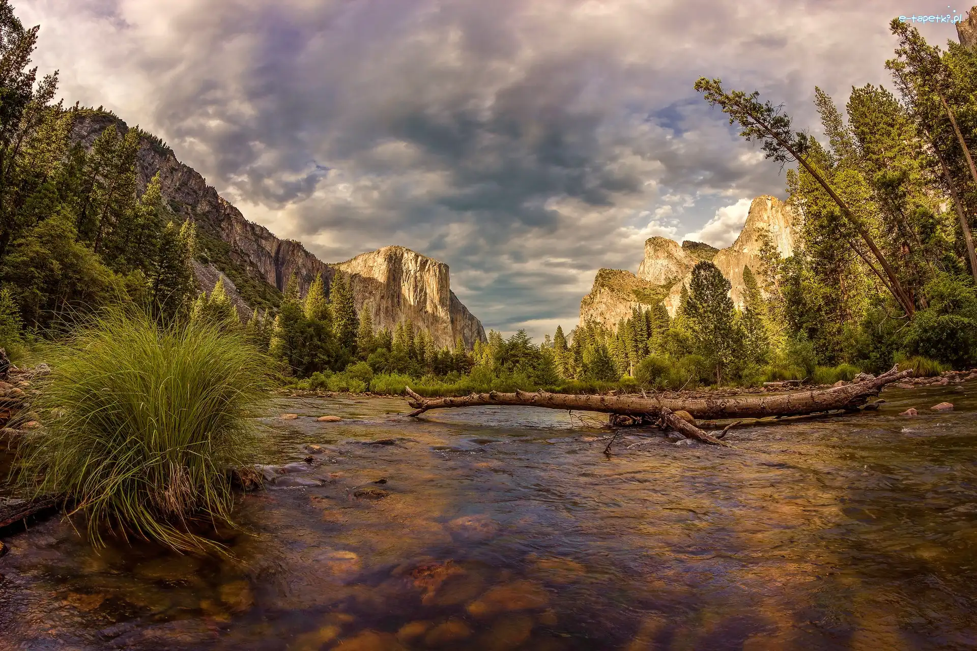 Kamienie, Rzeka Merced, Park Narodowy Yosemite, Kalifornia, Stany Zjednoczone, Suchy konar, Drzewa, Góry, Rośliny