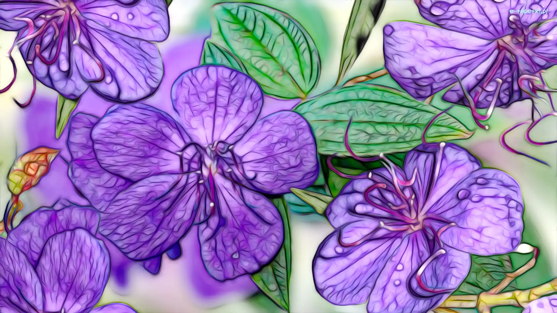 Kwiaty, Grafika, Fractalius, Fioletowe