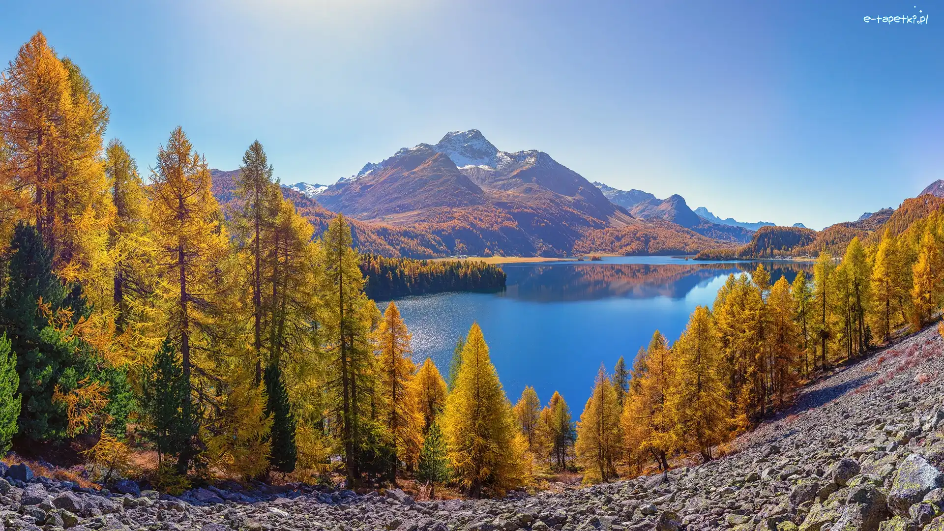 Dolina Engadyna, Jesień, Szwajcaria, Kanton Gryzonia, Drzewa, Jezioro Silsersee, Szczyt Piz da la Margna, Góry Alpy