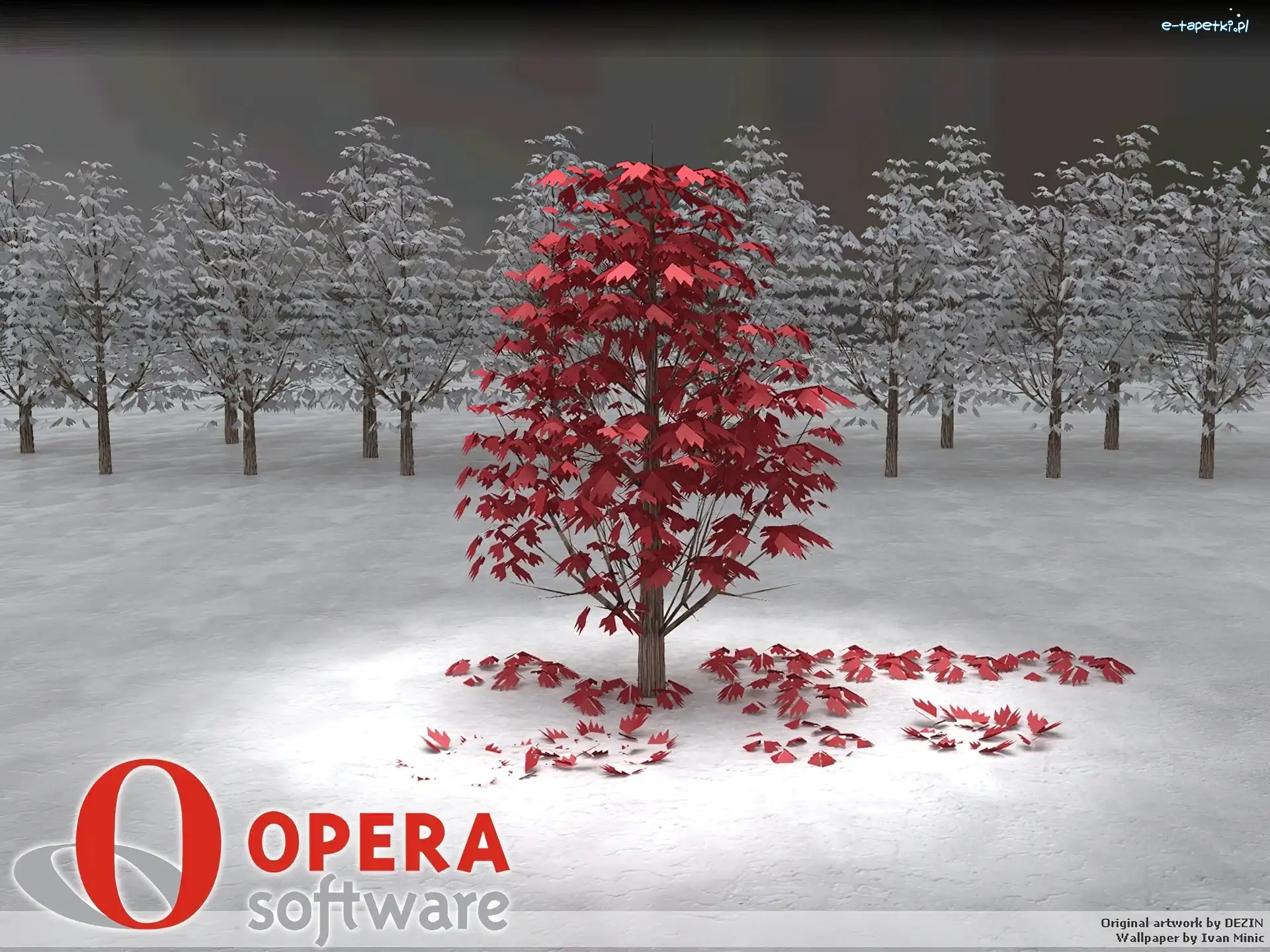drzewa, grafika, las, Opera