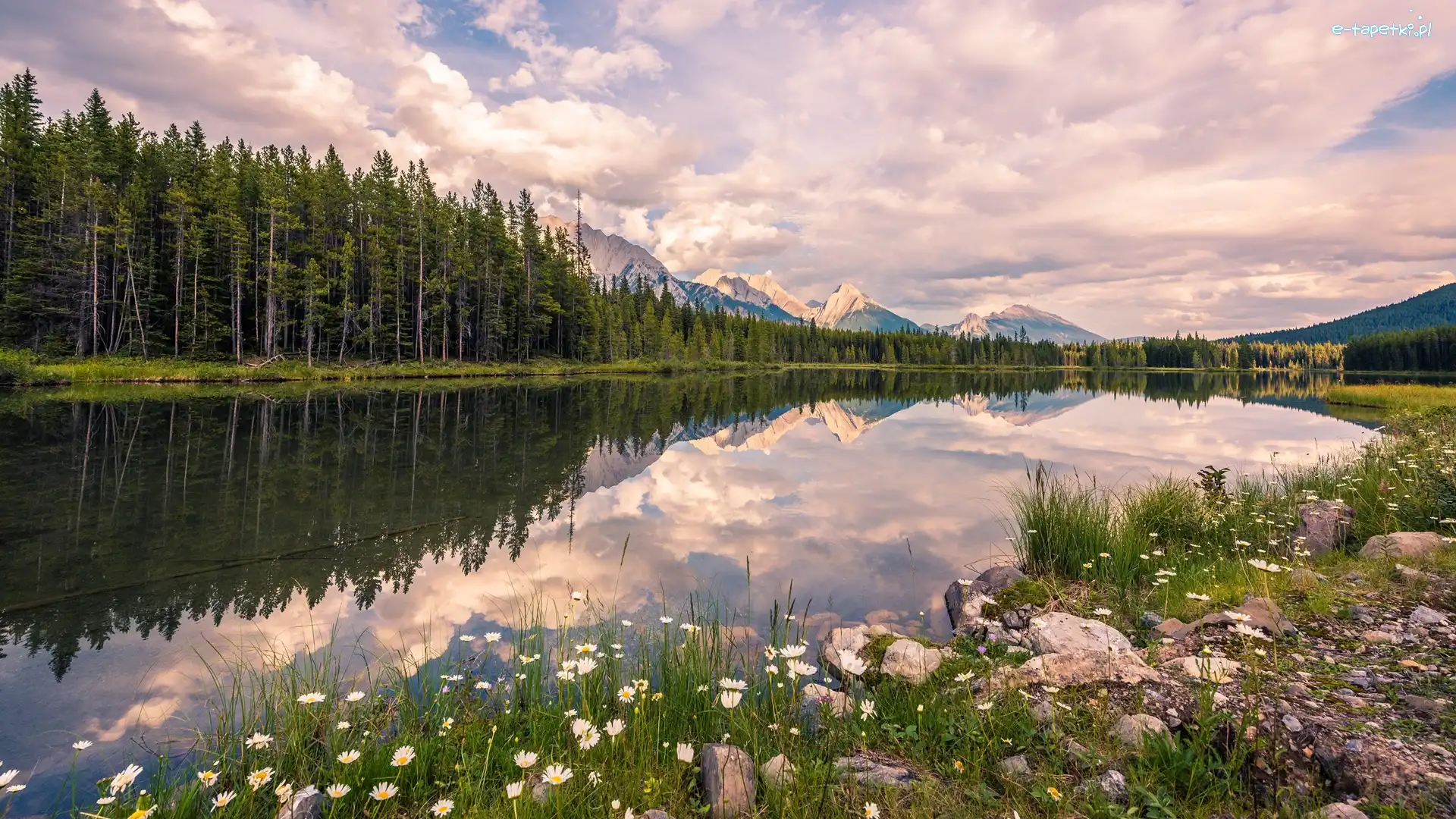 Kamienie, Prowincja Alberta, Chmury, Jezioro Upper Kananaskis Lake, Drzewa, Las, Góry Canadian Rockies, Kanada, Kananaskis Country, Roślinność