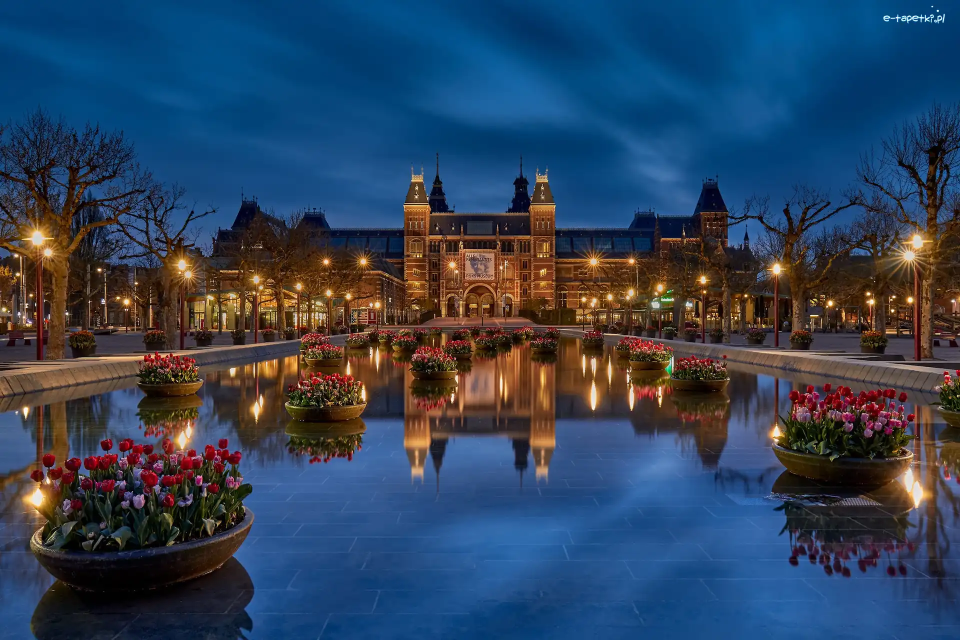 Noc, Tulipany, Holandia, Amsterdam, Latarnie, Muzeum Narodowe, Rijksmuseum, Donice