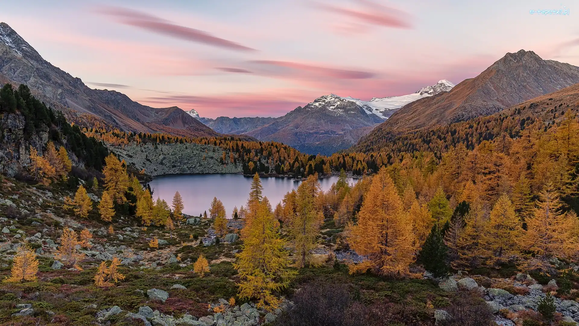 Drzewa, Jezioro Lagh da Val Viola, Szwajcaria, Kanton Gryzonia, Las, Jesień, Dolina Val Poschiavo, Góry