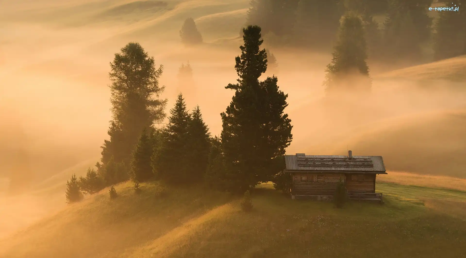 Drzewa, Domek, Mgła, Włochy, Drewniany, Płaskowyż Seiser Alm