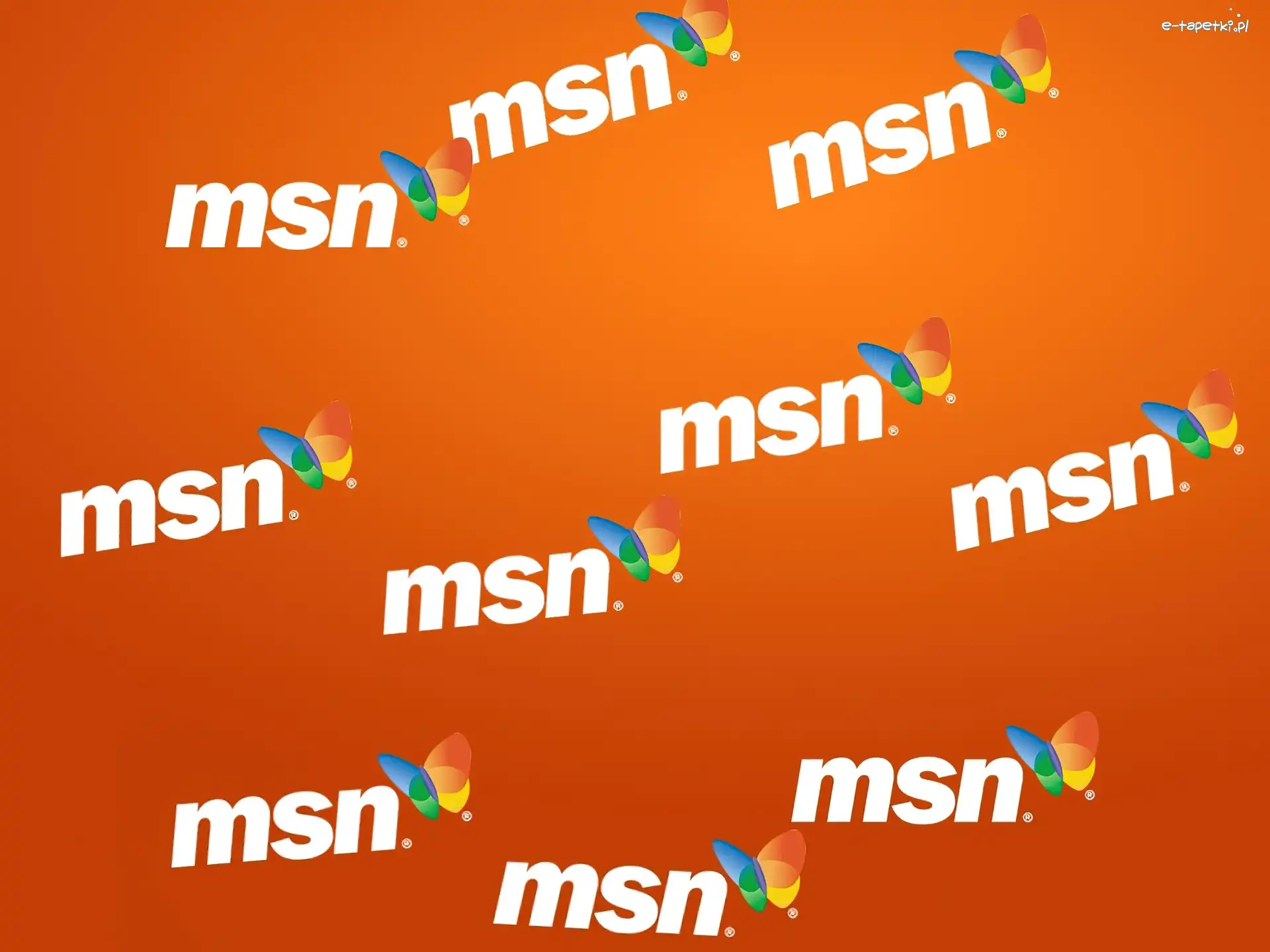 motyl, grafika, Programy MSN