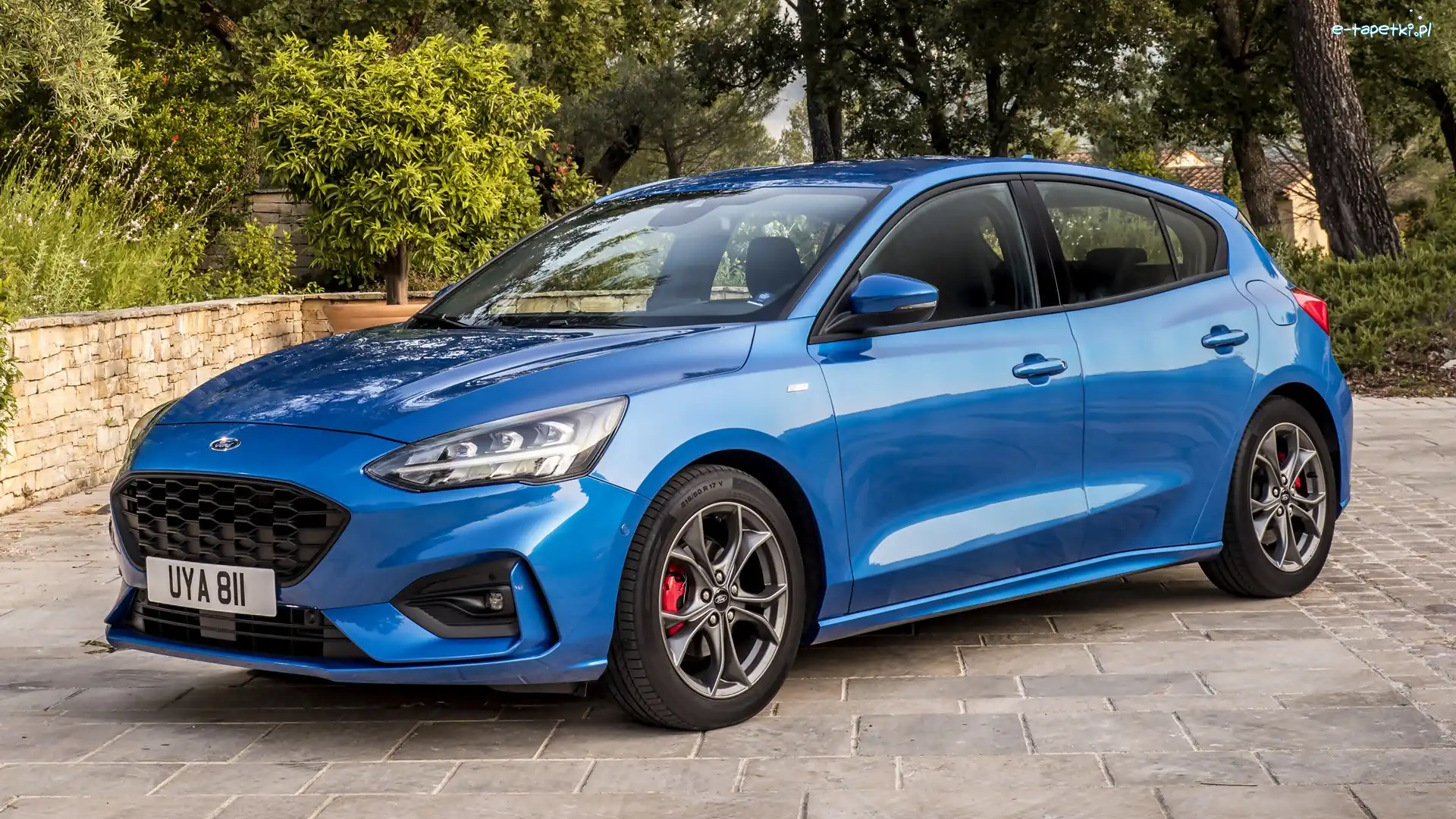 Ford Focus ST, Niebieski