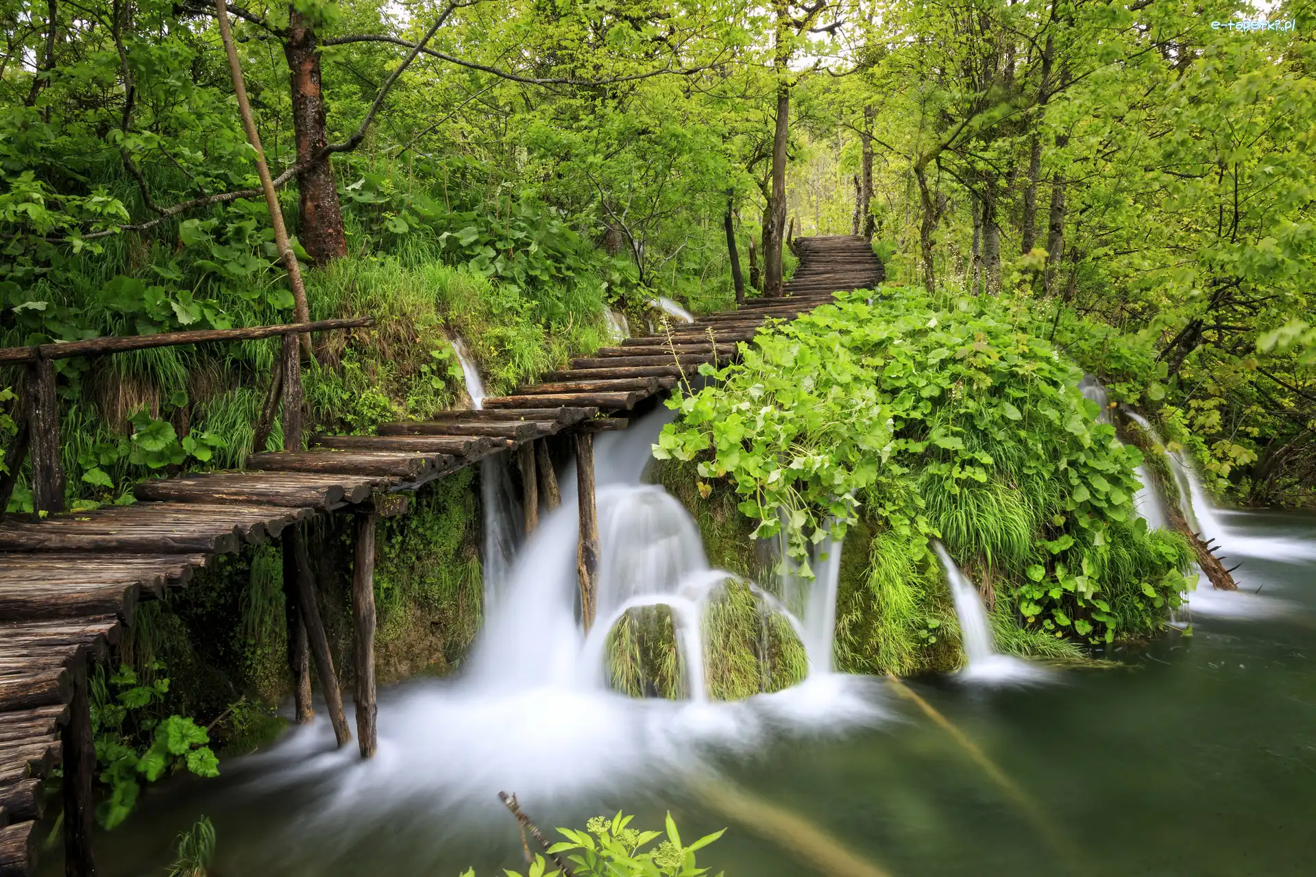 Rośliny, Pomost, Drzewa, Chorwacja, Park Narodowy Jezior Plitwickich, Wodospad