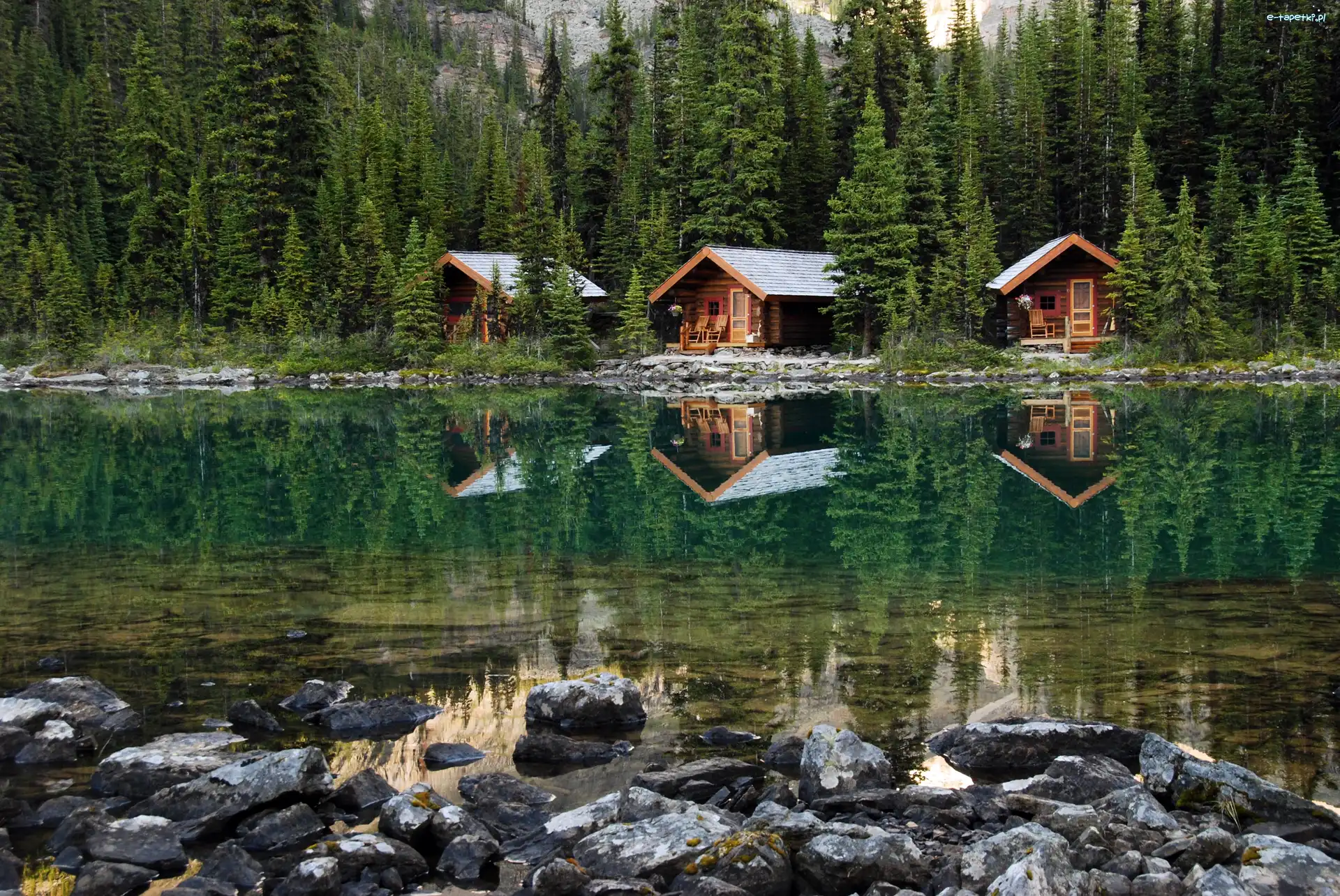 Las, Jezioro OHara, Kamienie, Domki, Park Narodowy Yoho, Kanada