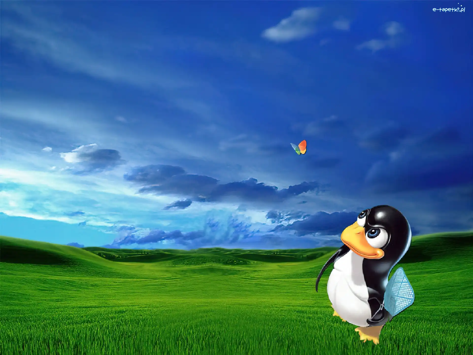 wzgórza, łapka, motyl, trawa, pingwin, Linux