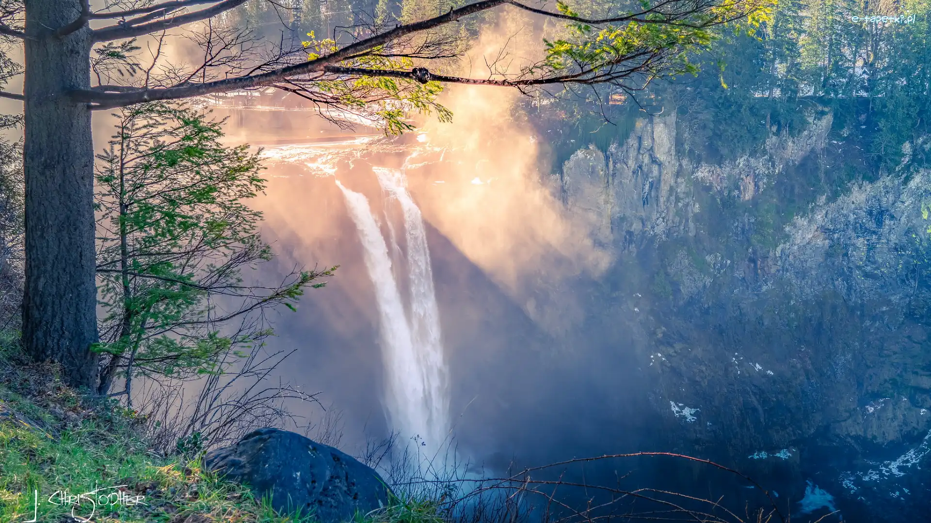 Stan Waszyngton, Drzewa, Hrabstwo King, Stany Zjednoczone, Skały, Wodospad Snoqualmie Falls