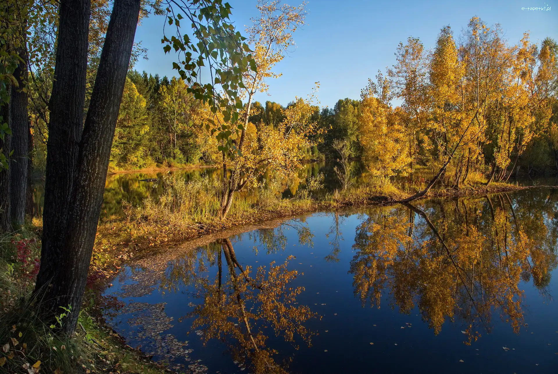 Jezioro, Drzewa, Odbicie, Jesień