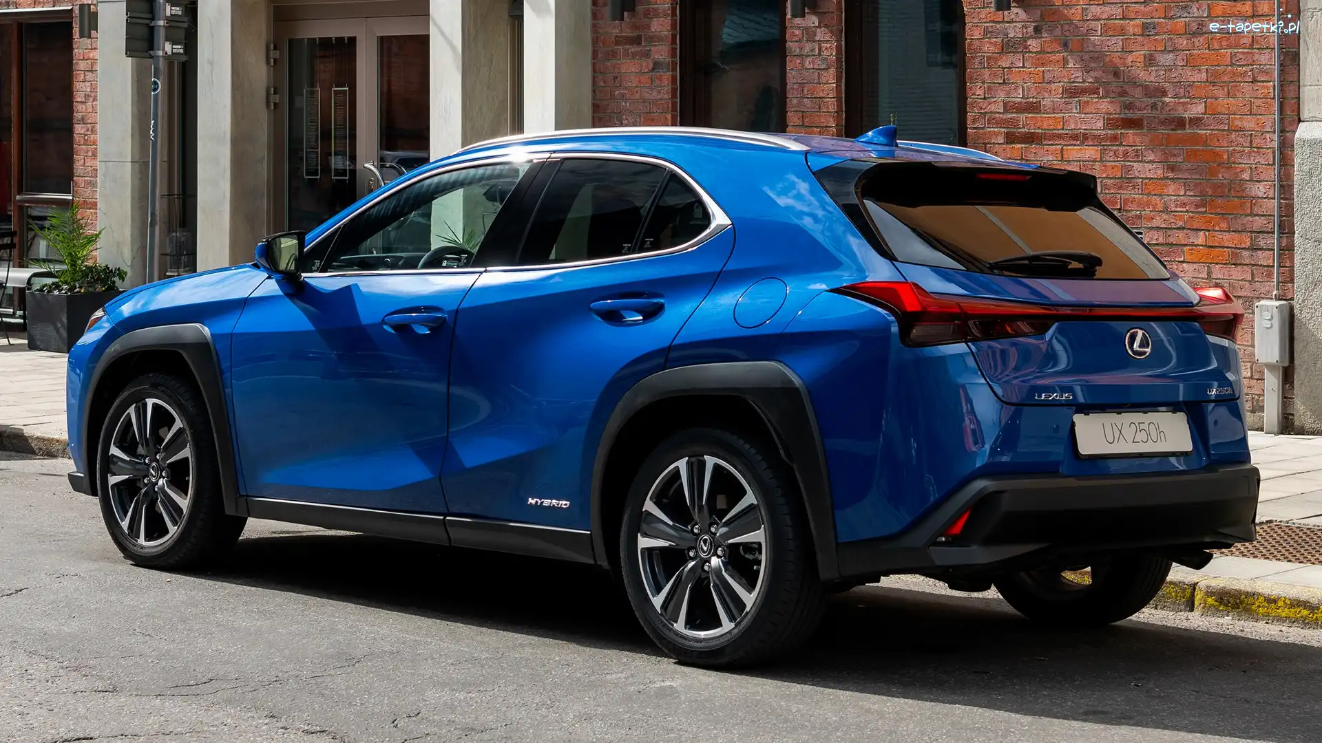 Lexus UX, Niebieski