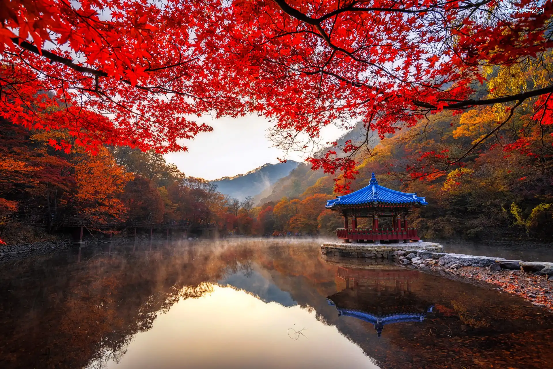 Korea Południowa, Staw, Altana, Drzewa, Park Narodowy Naejangsan, Jeongeup, Jesień