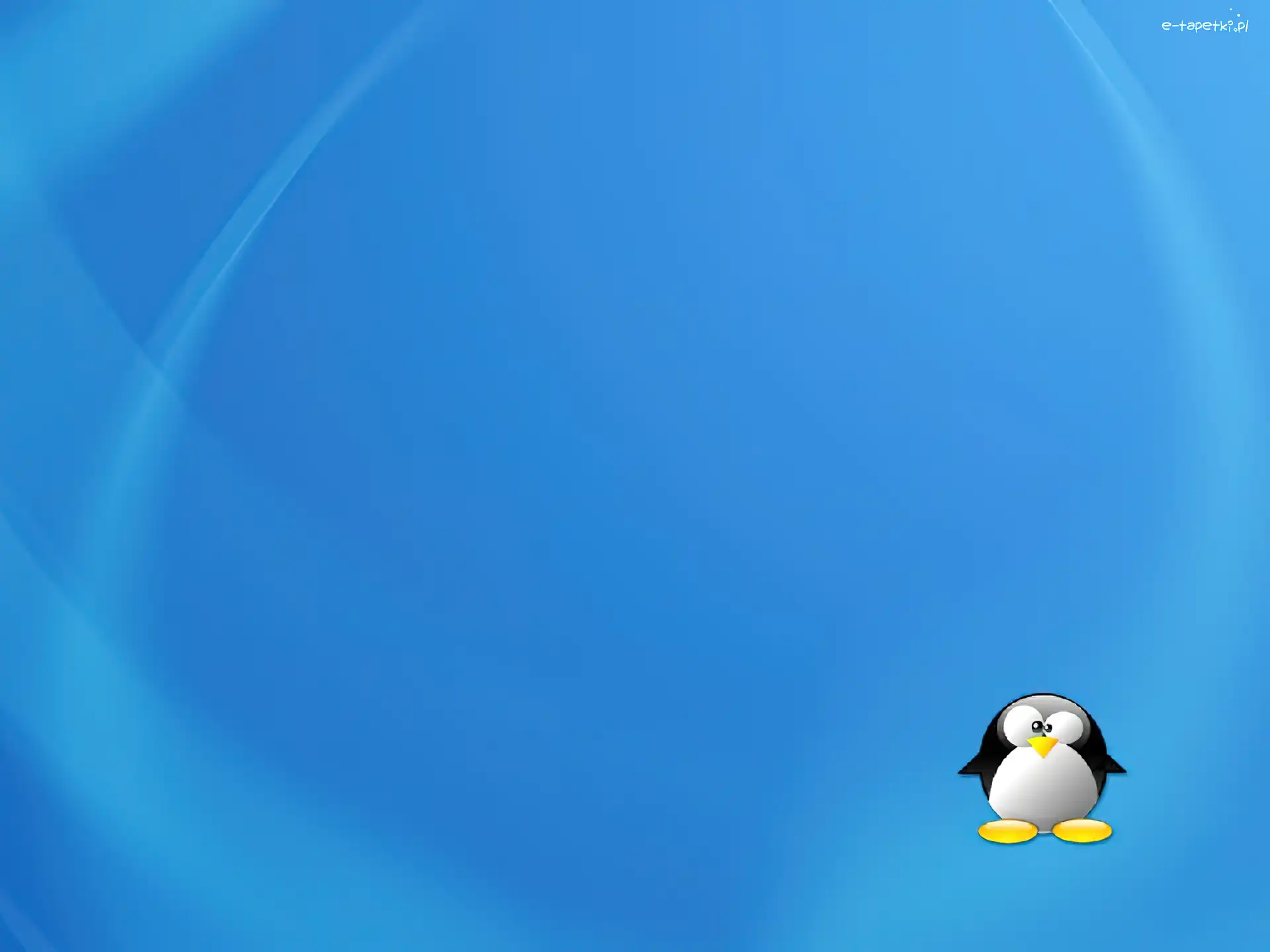 grafika, pingwin, Linux