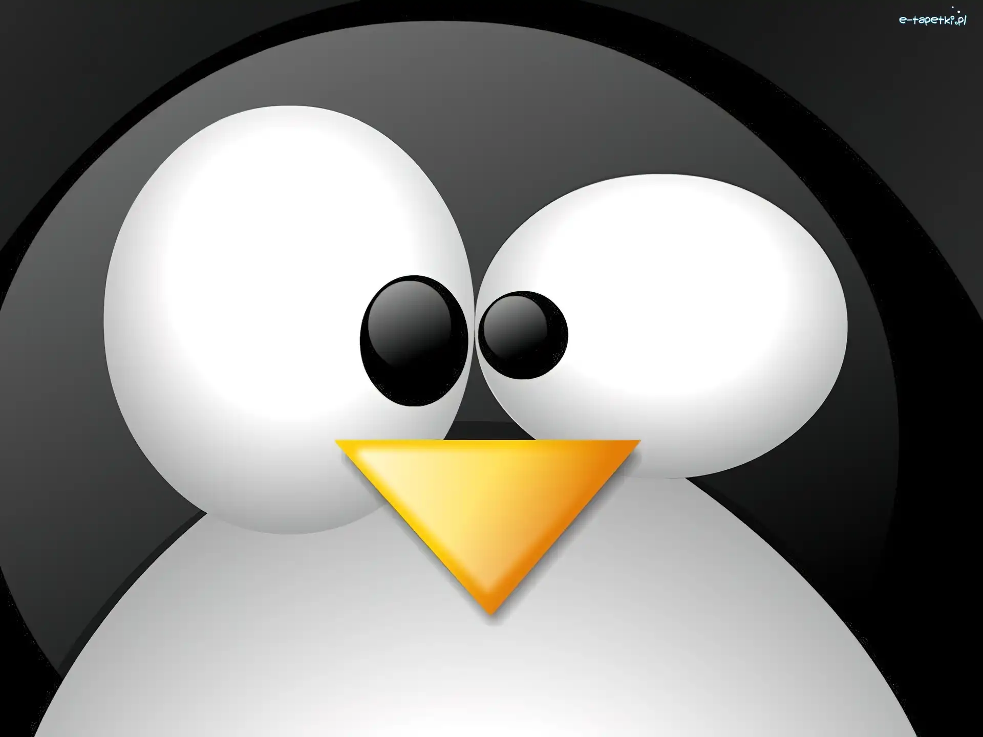 grafika, pingwin, Linux