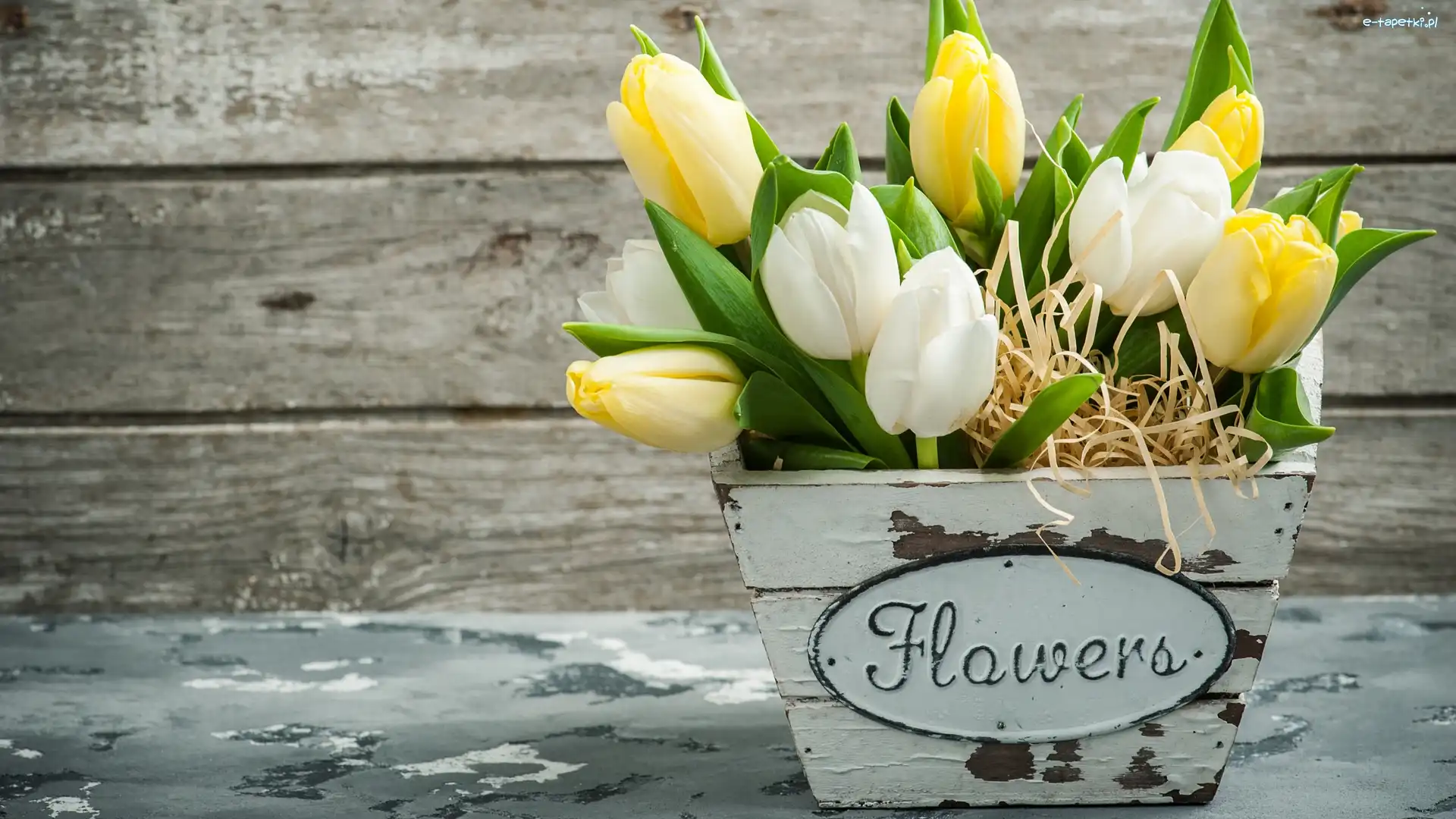 Doniczka, Drewniana, Tulipany
