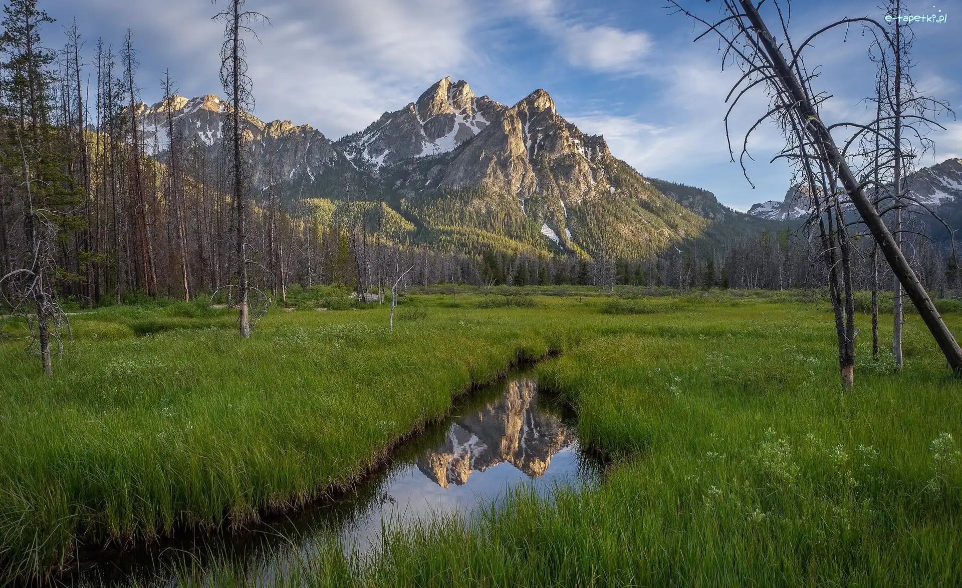 Łąka, Góra McGown Peak, Stany Zjednoczone, Stan Idaho, Drzewa, Rzeka, Potok, Góry