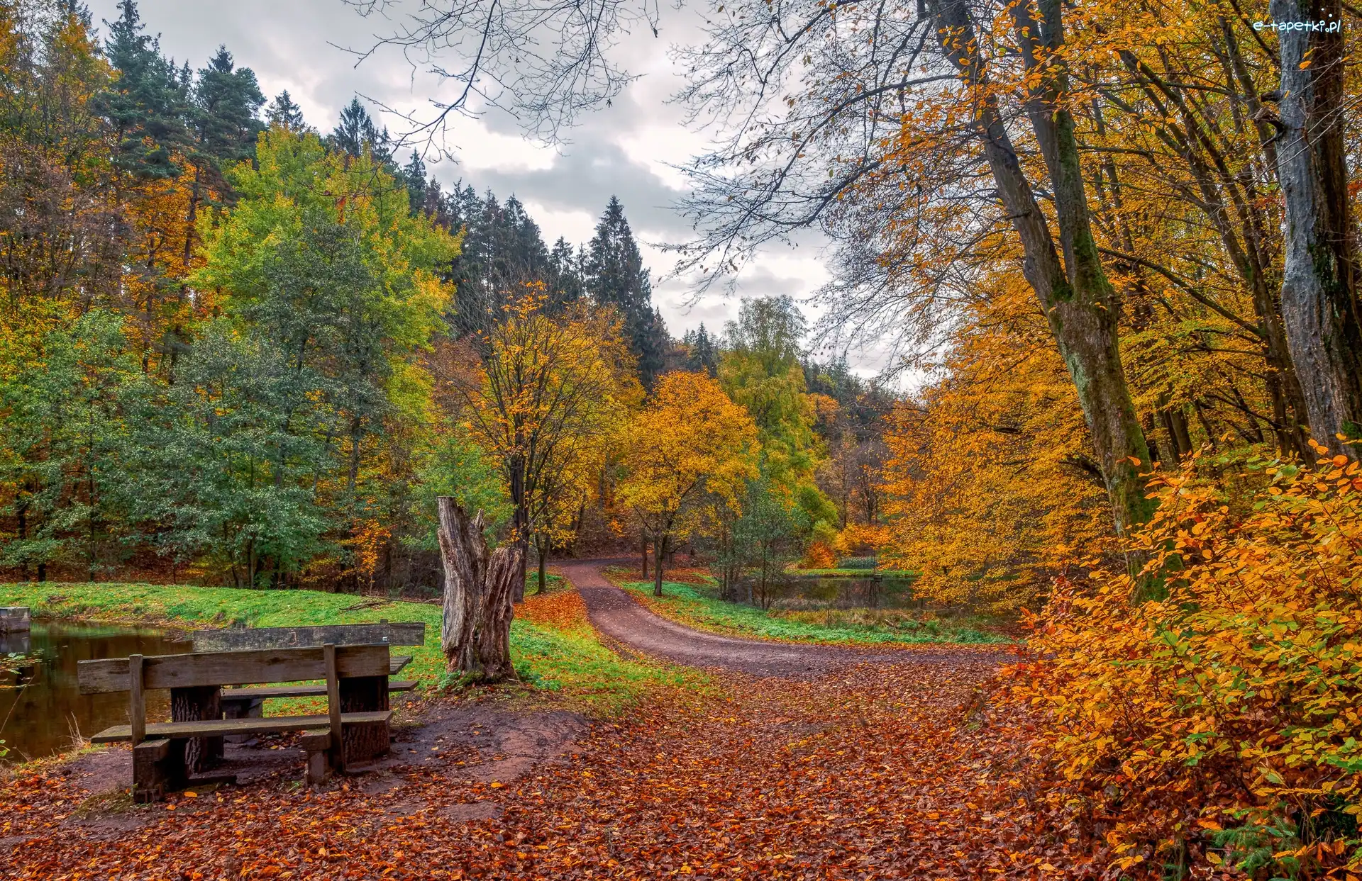 Staw, Ławki, Jesień, Chmury, Drzewa, Park