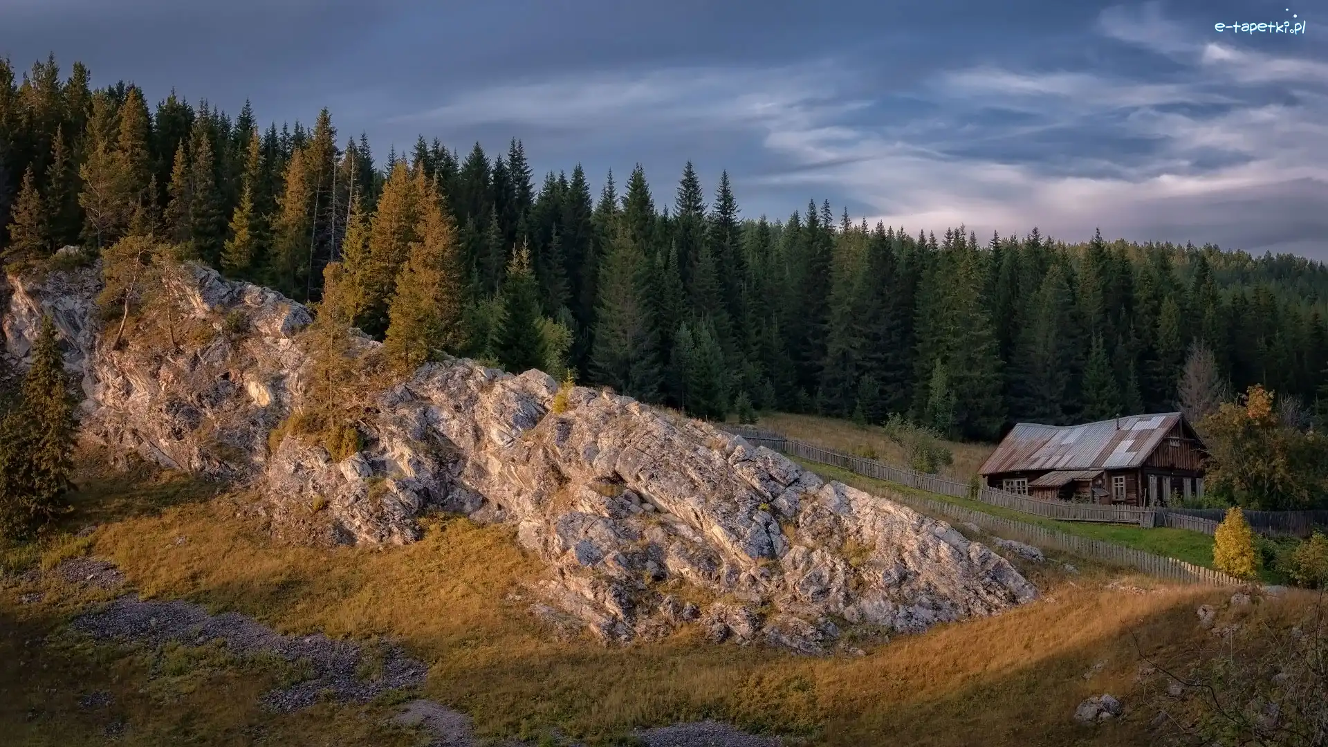 Las, Drzewa, Skała, Ogrodzenie, Dom
