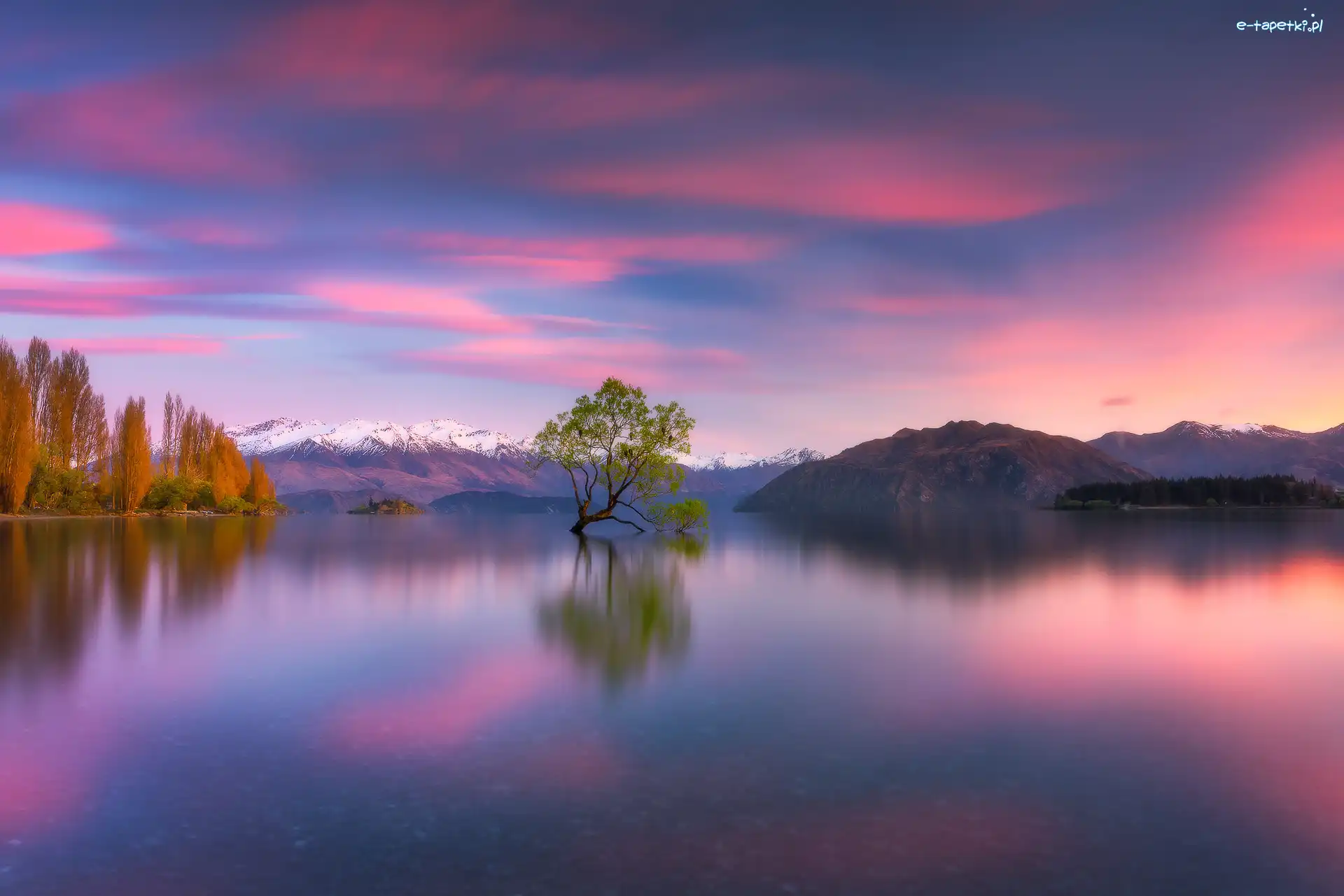 Zachód słońca, Nowa Zelandia, Jezioro Wanaka, Góry, Drzewo
