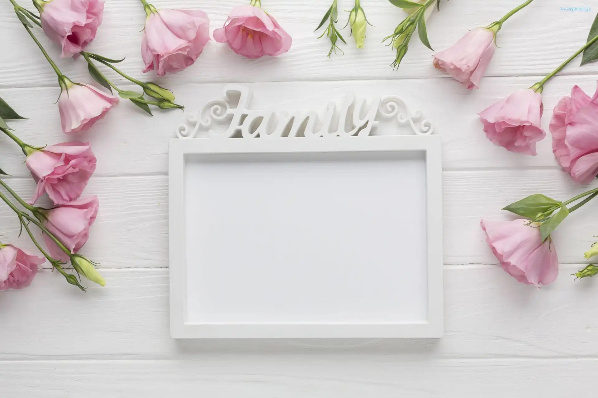 Ramka, Kwiaty, Deski, Białe, Eustoma, Napis, Family, Różowe