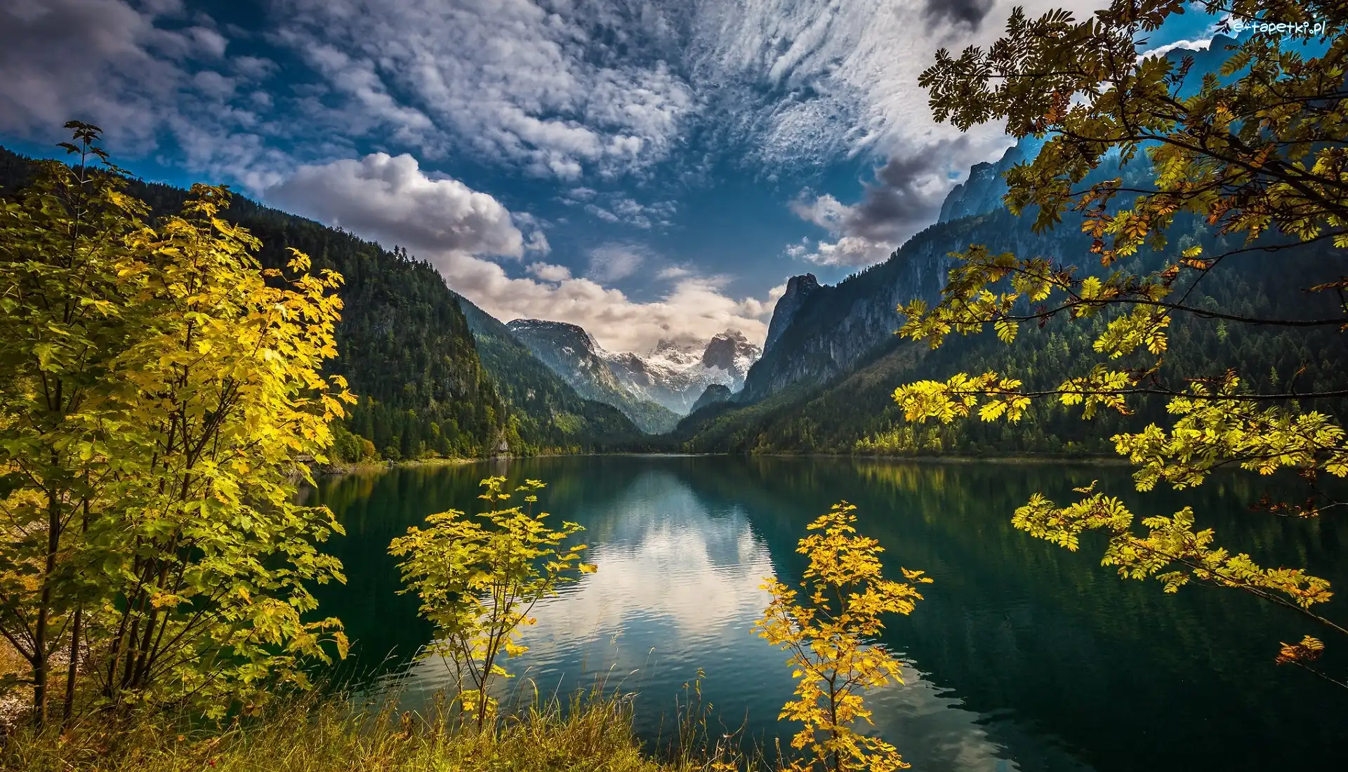 Lasy, Jezioro Gosauseen, Austria, Gosau, Chmury, Drzewa, Powiat Gmunden, Góry Dachstein