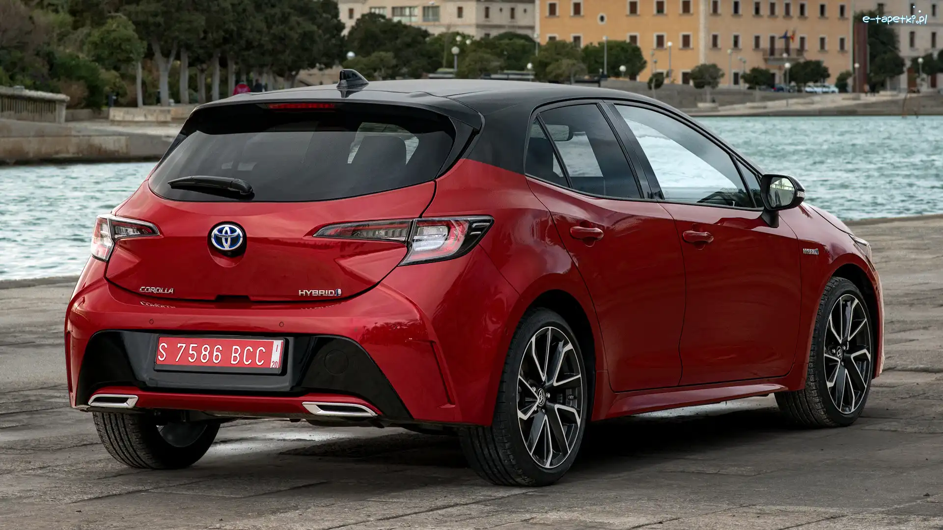 Tył, Hatchback, Toyota Corolla
