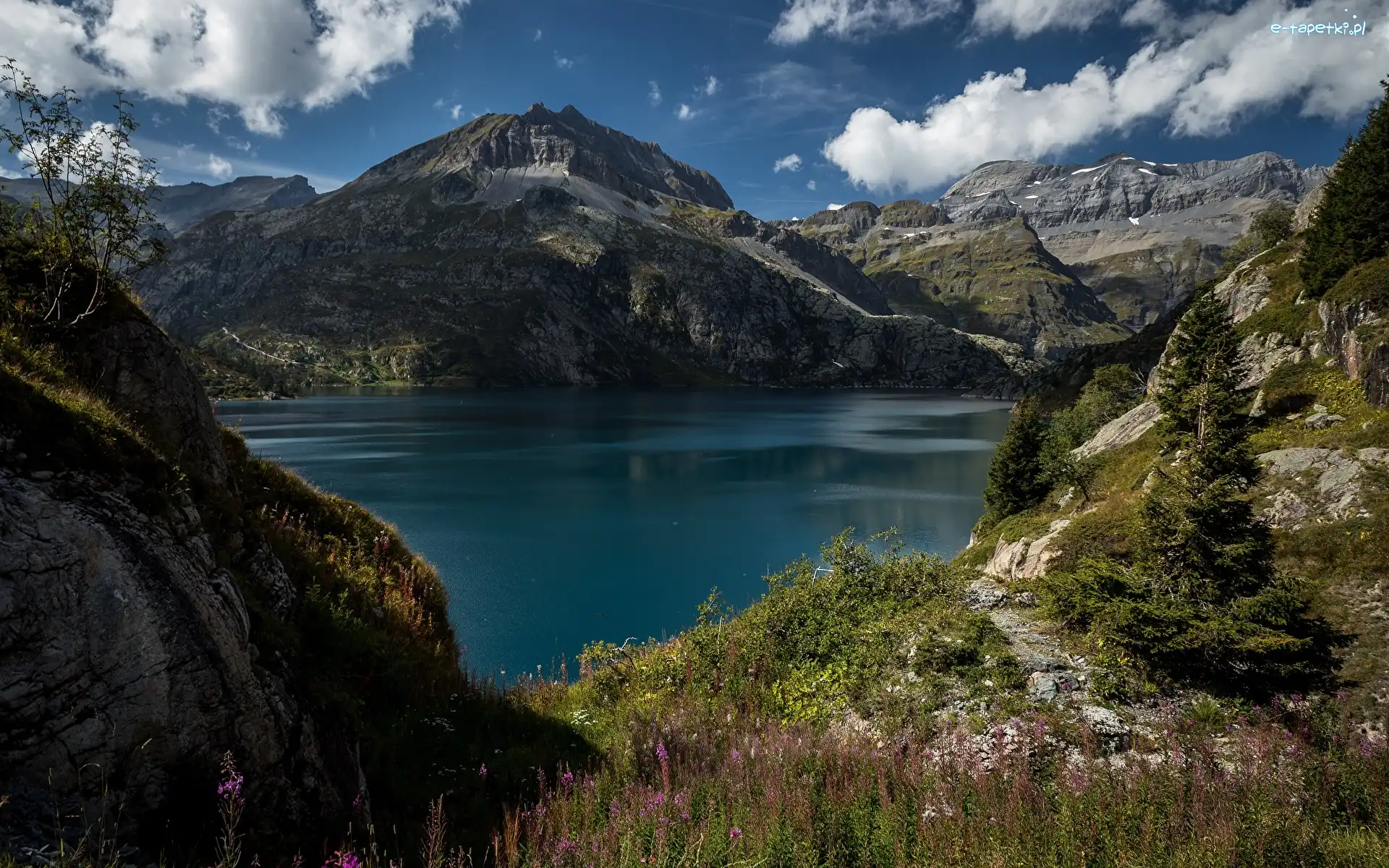 Szwajcaria, Świerki, Trawa, Jezioro Lac dEmosson, Góry Alpy, Kanton Valais, Chmury