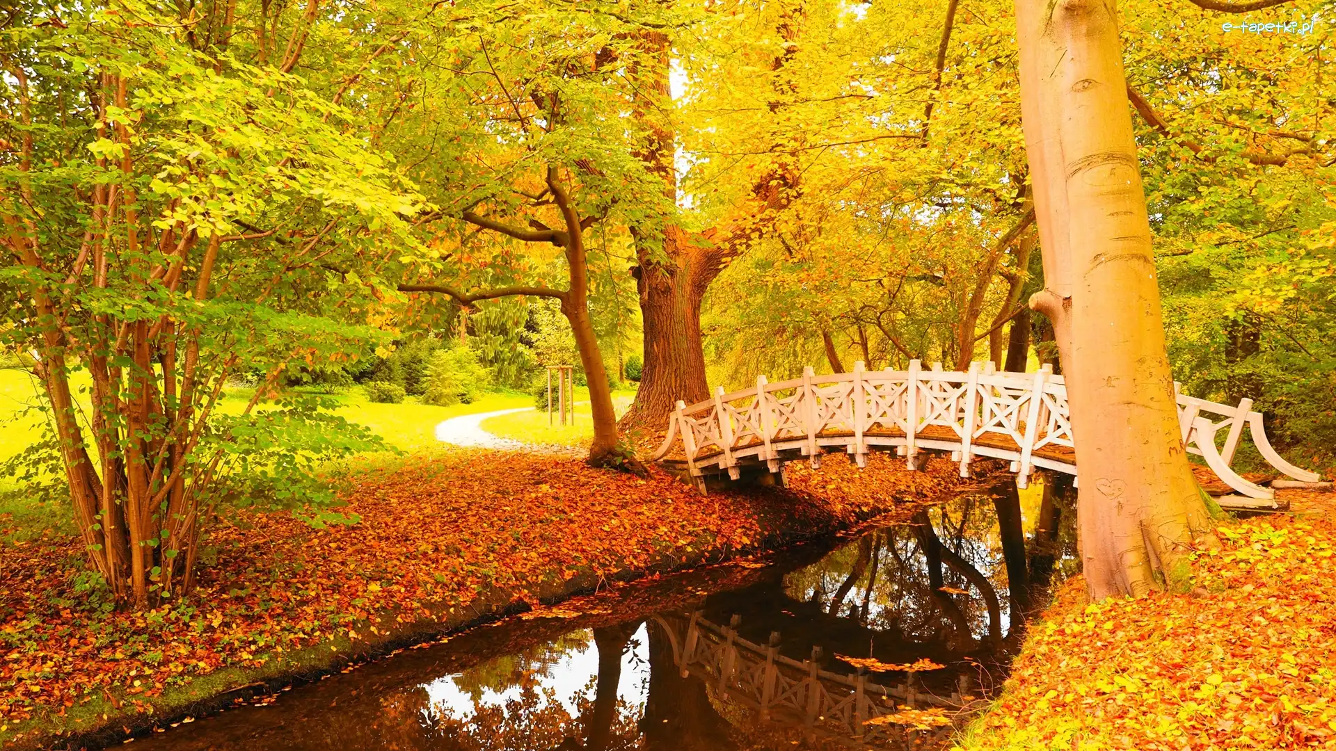 Jesień, Mostek, Drzewa, Liście, Rzeka, Park