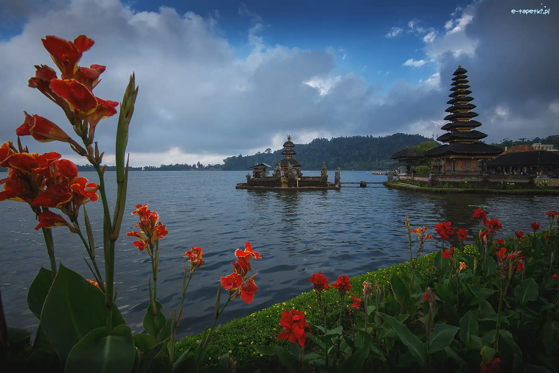 Indonezja, Jezioro Bratan, Czerwone, Pura Ulun Danu Beratan, Świątynia, Wyspa Bali, Kwiaty