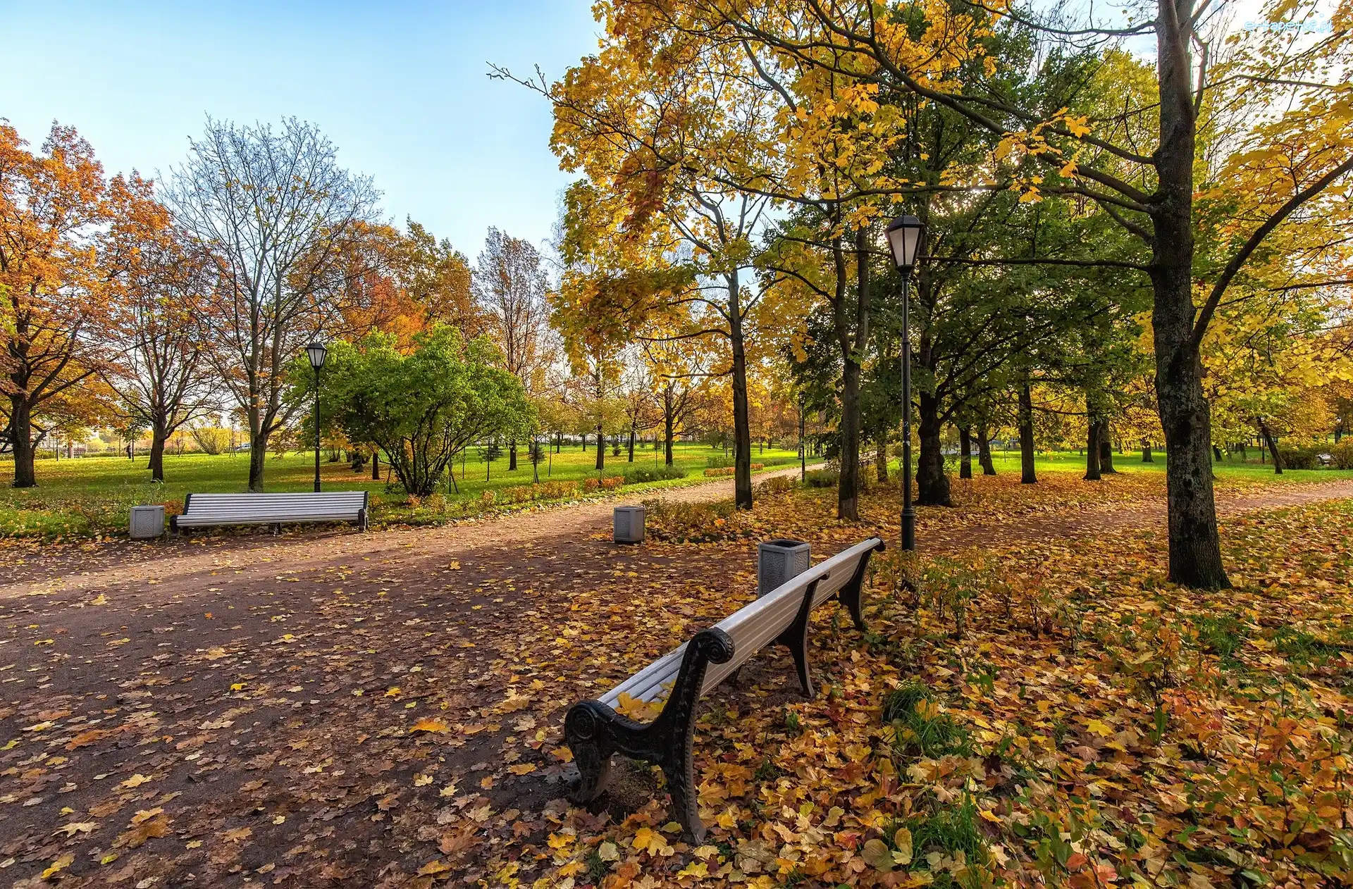 Jesień, Drzewa, Park, Ławki, Alejka